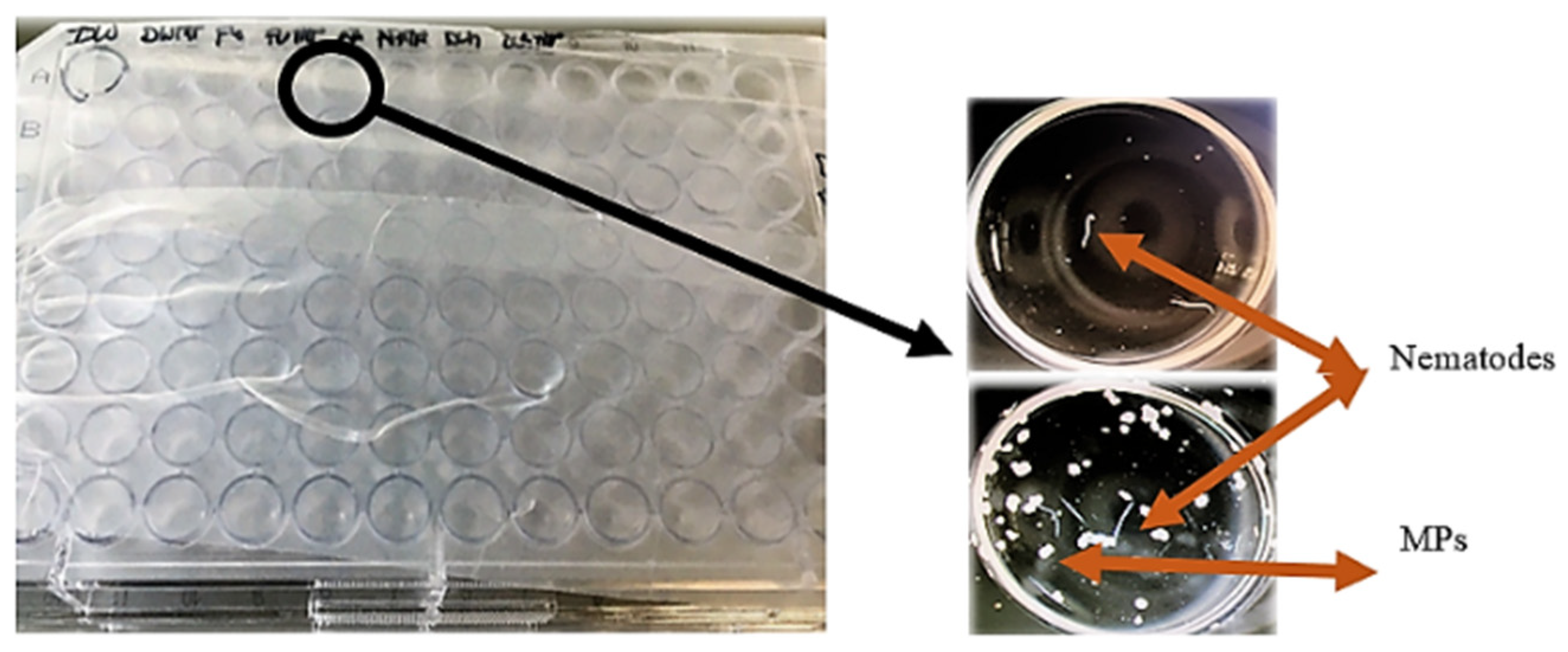 Applbiosci 03 00034 g001