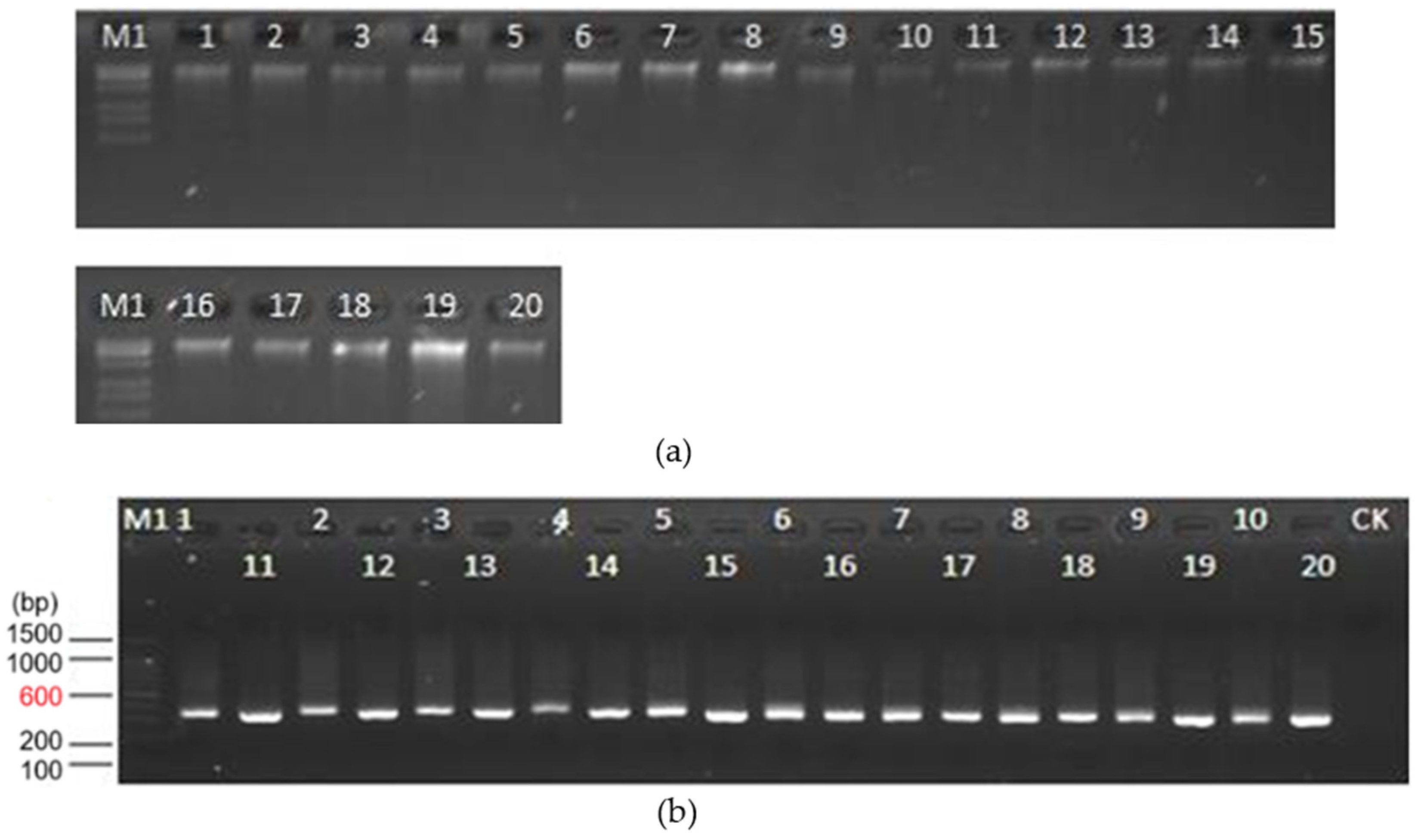 Applbiosci 03 00034 g004