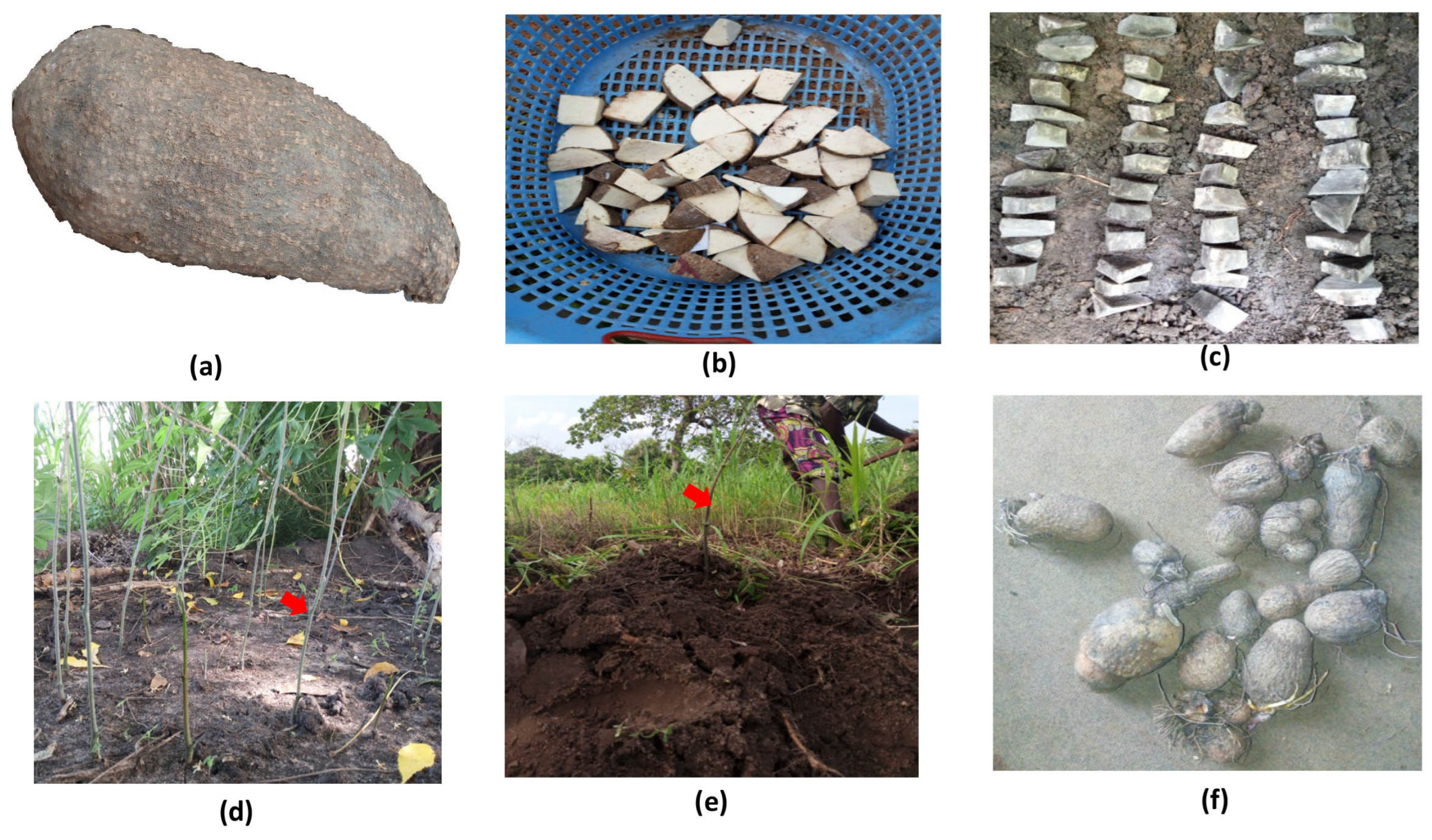 Applbiosci 03 00035 g001