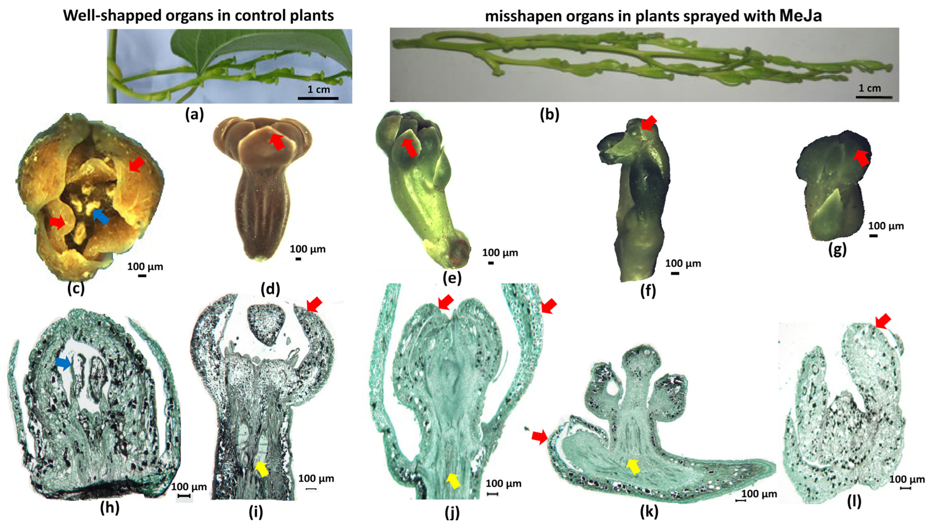 Applbiosci 03 00035 g007