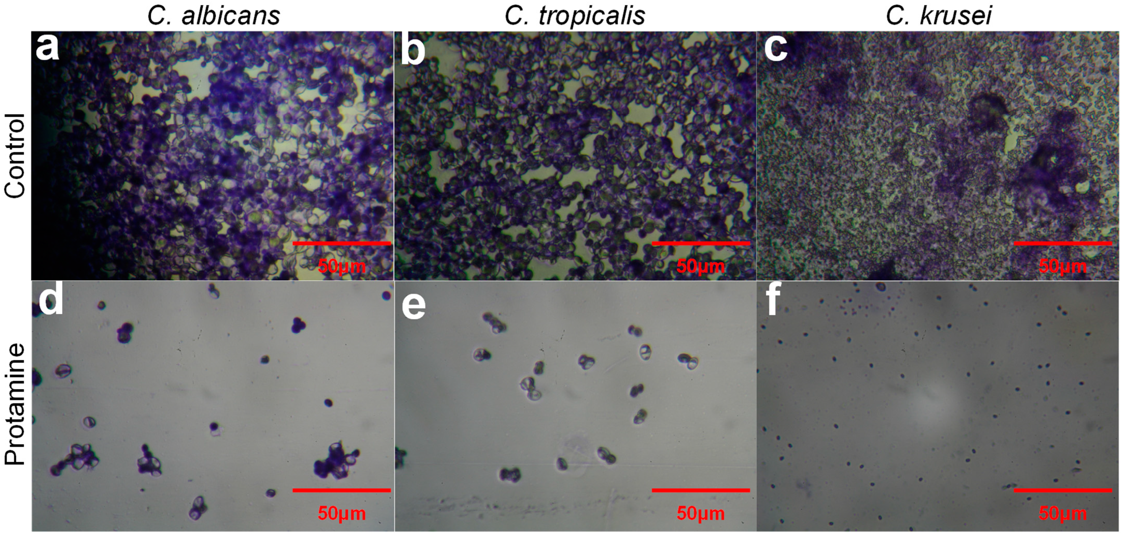 Applbiosci 04 00005 g003