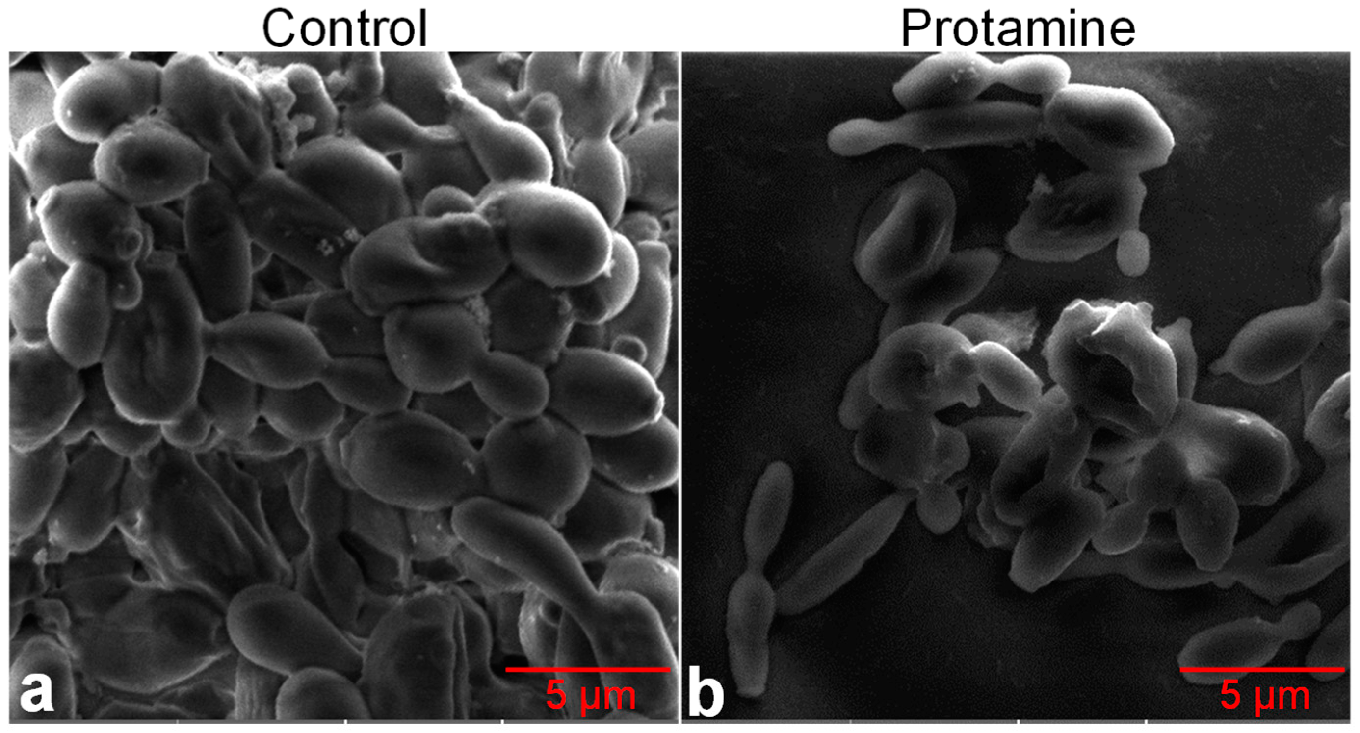 Applbiosci 04 00005 g004