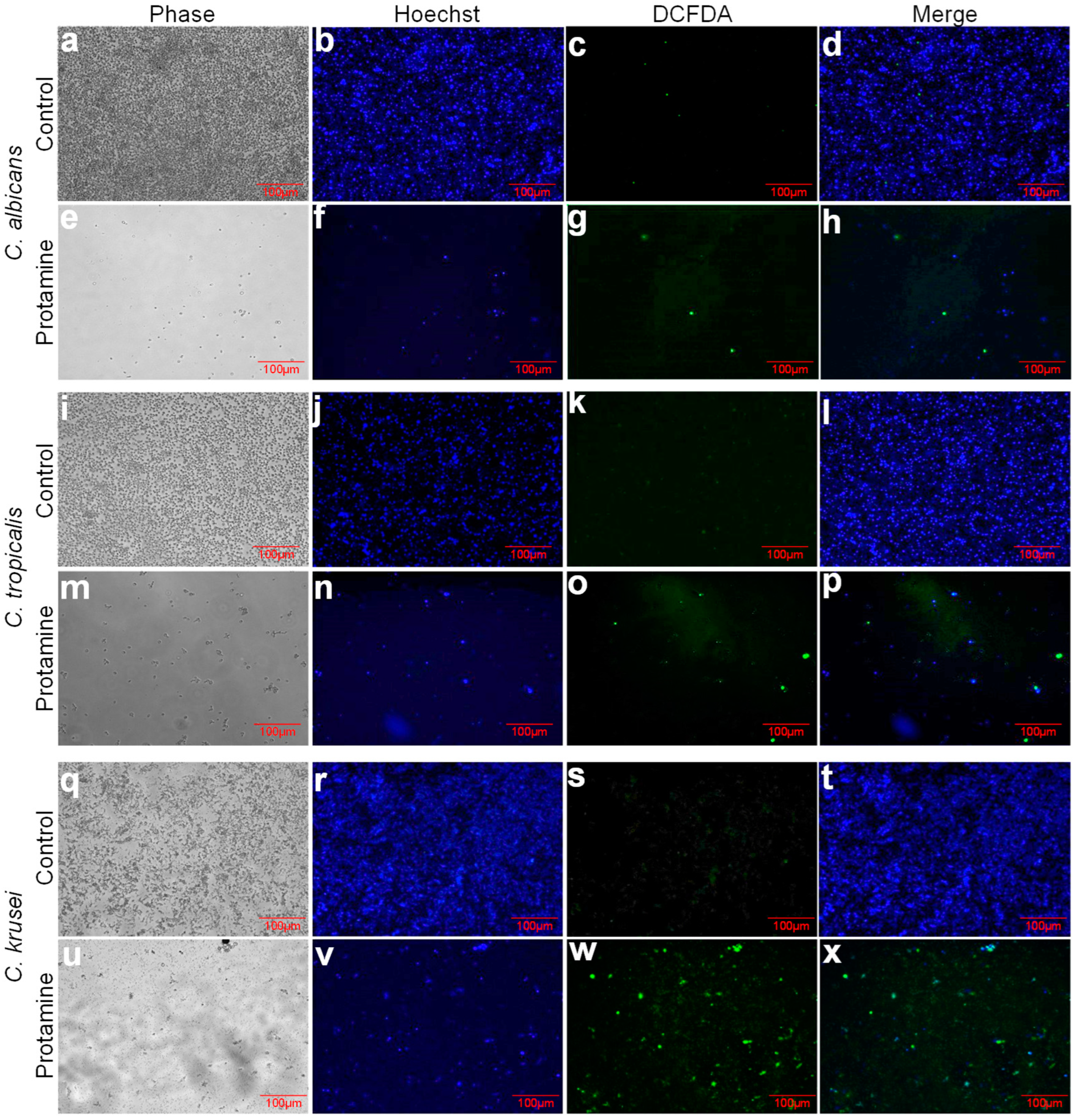 Applbiosci 04 00005 g005