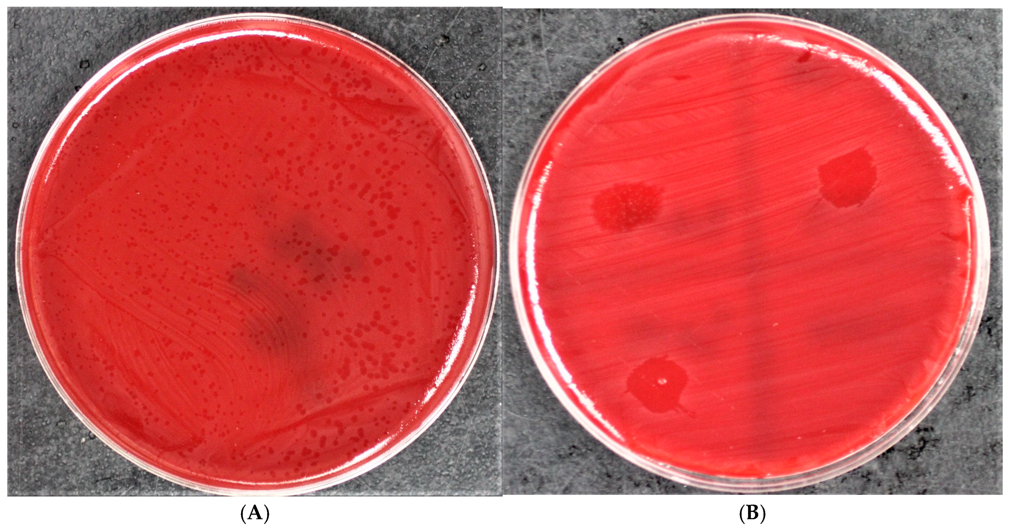 Applbiosci 04 00010 g001