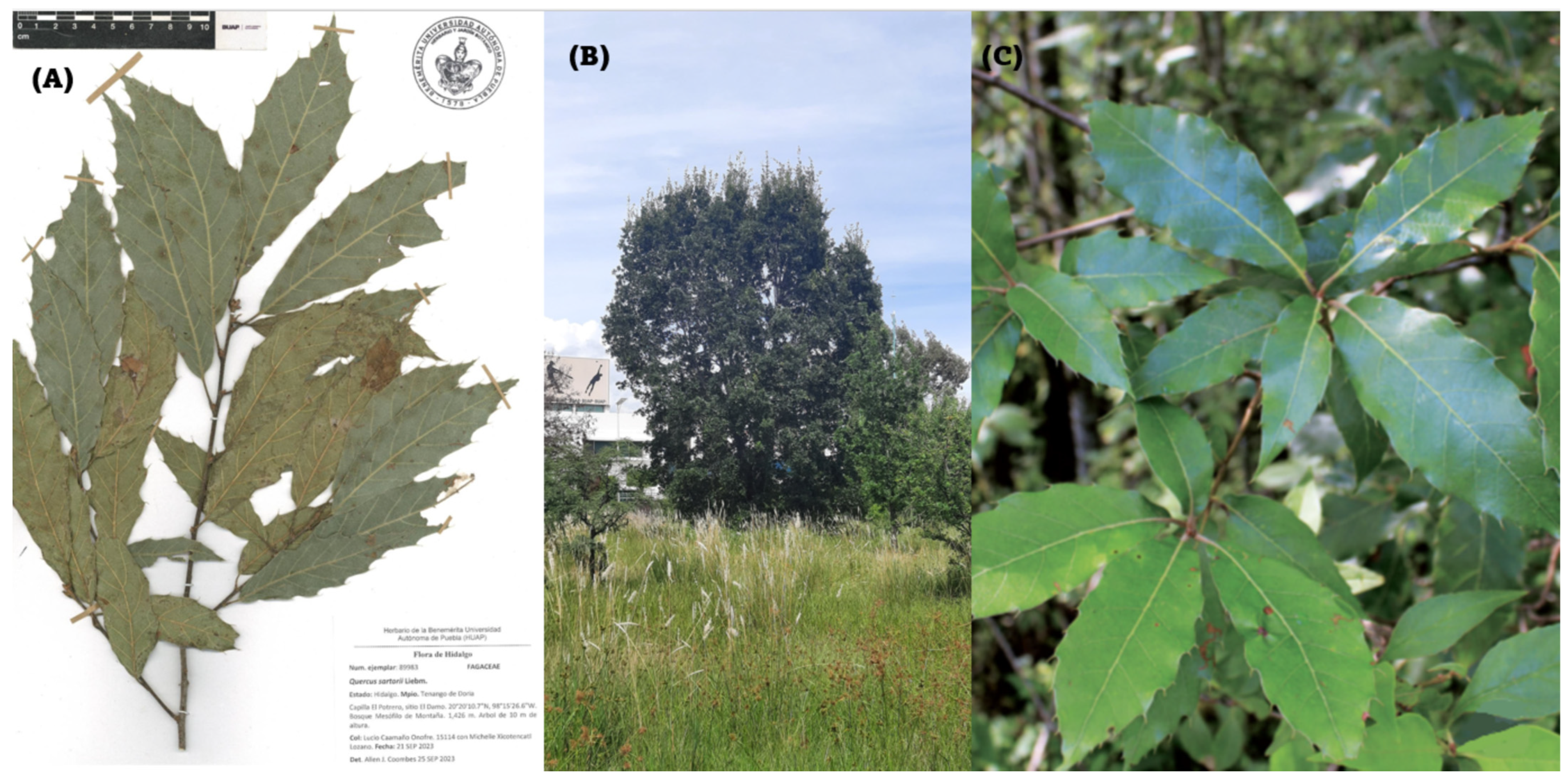 Applbiosci 04 00013 g001