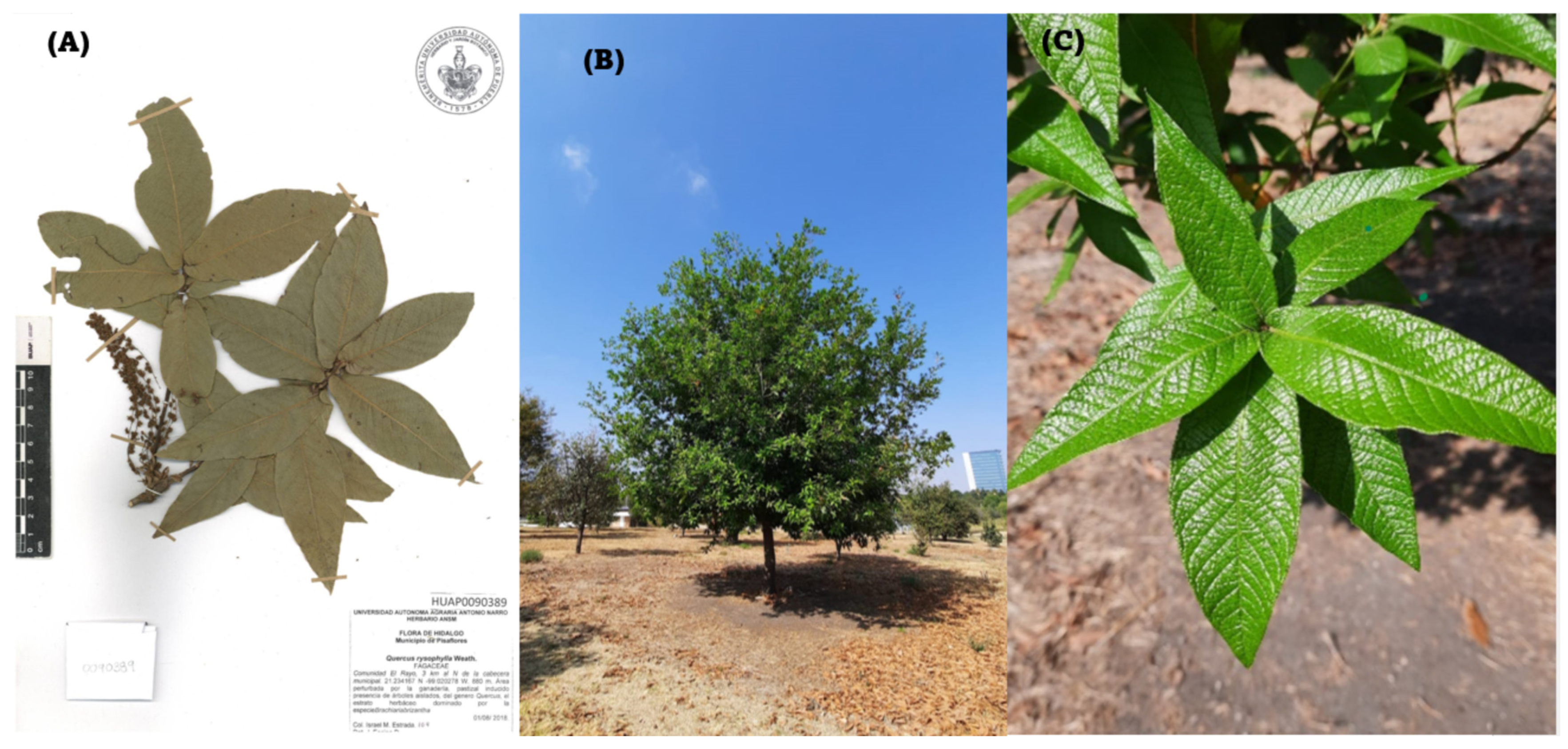 Applbiosci 04 00013 g002