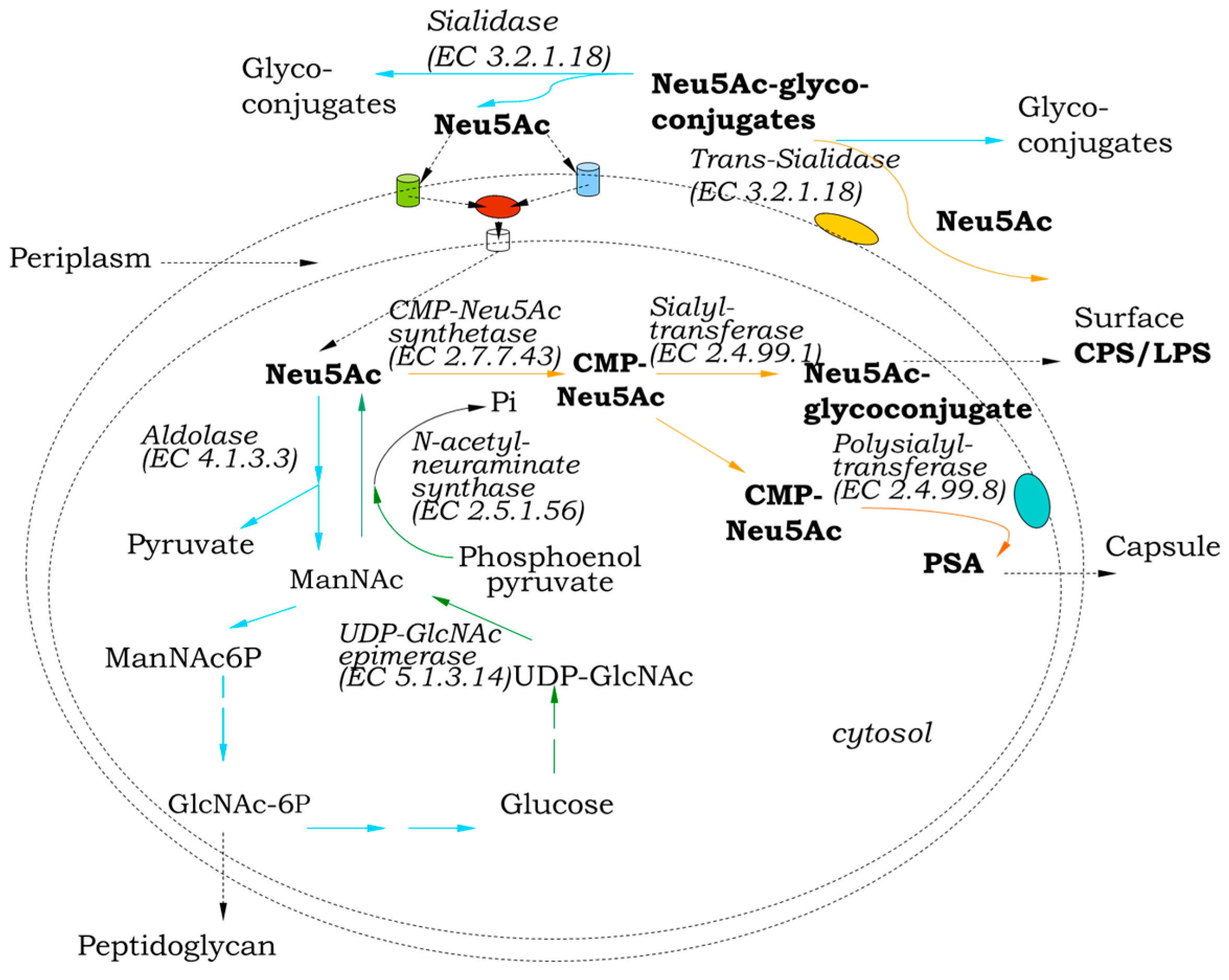 Applbiosci 04 00017 g003 Applbiosci 04 00017 g003