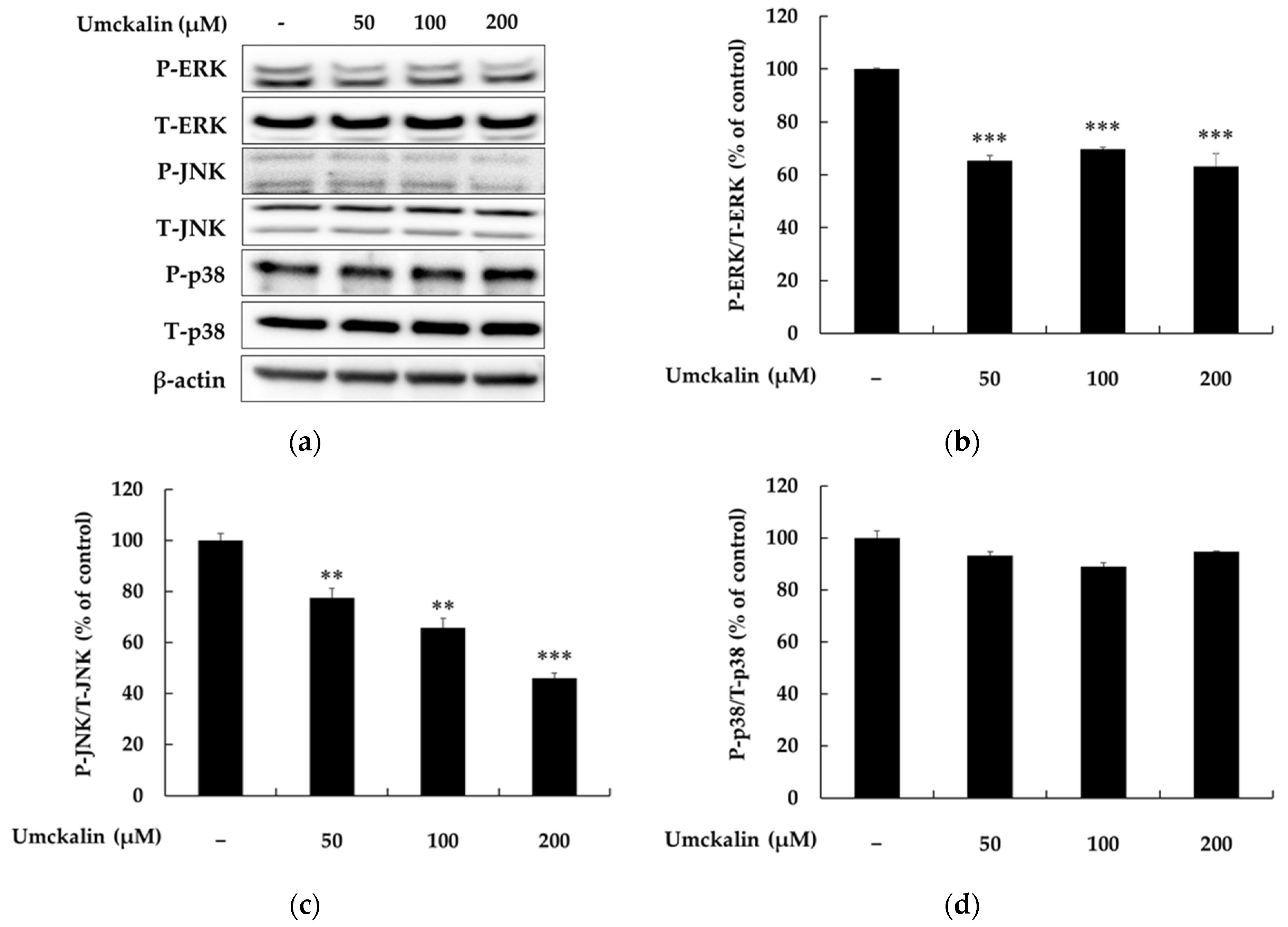 Applbiosci 04 00020 g005