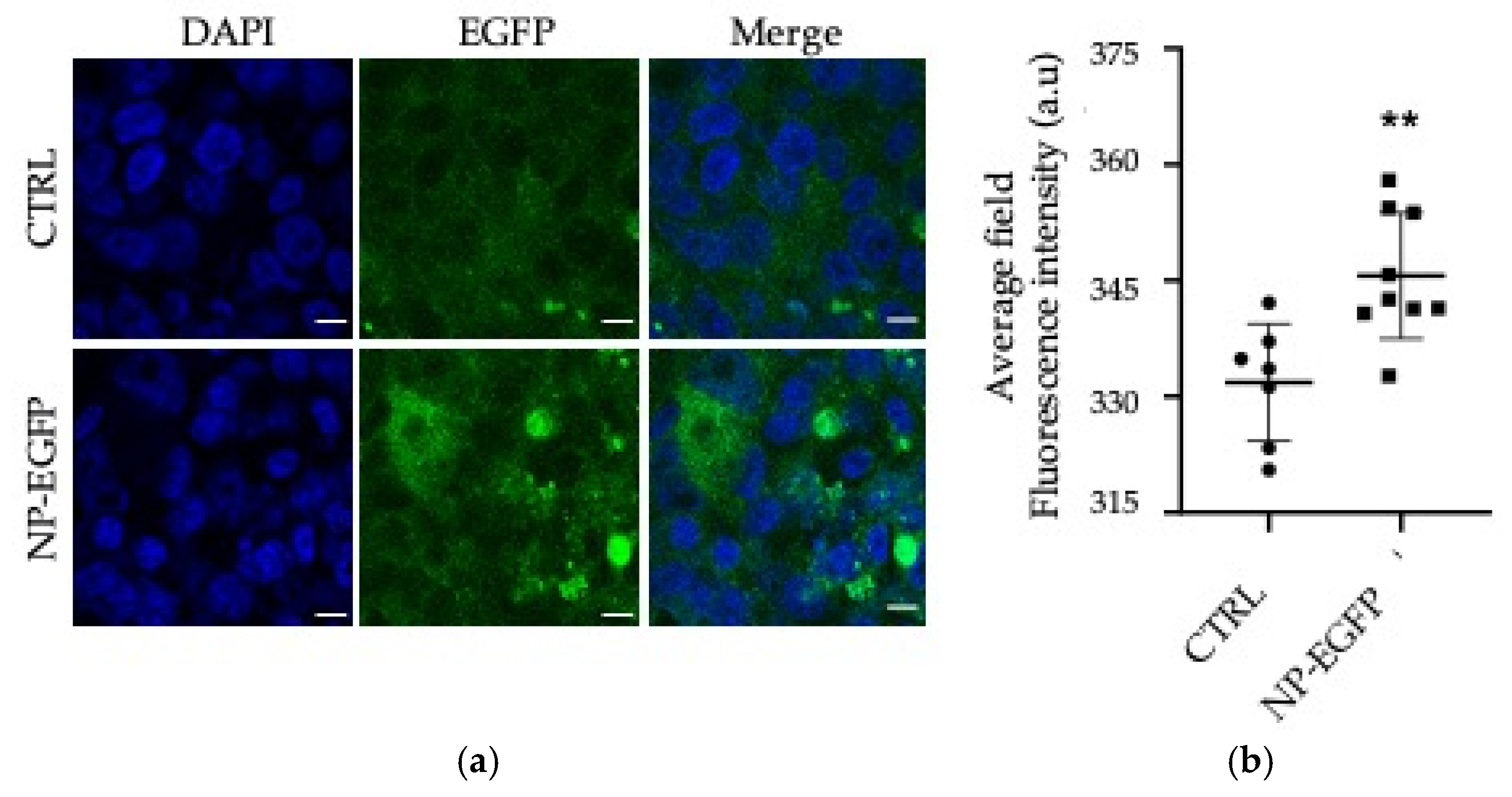 Applbiosci 04 00029 g004