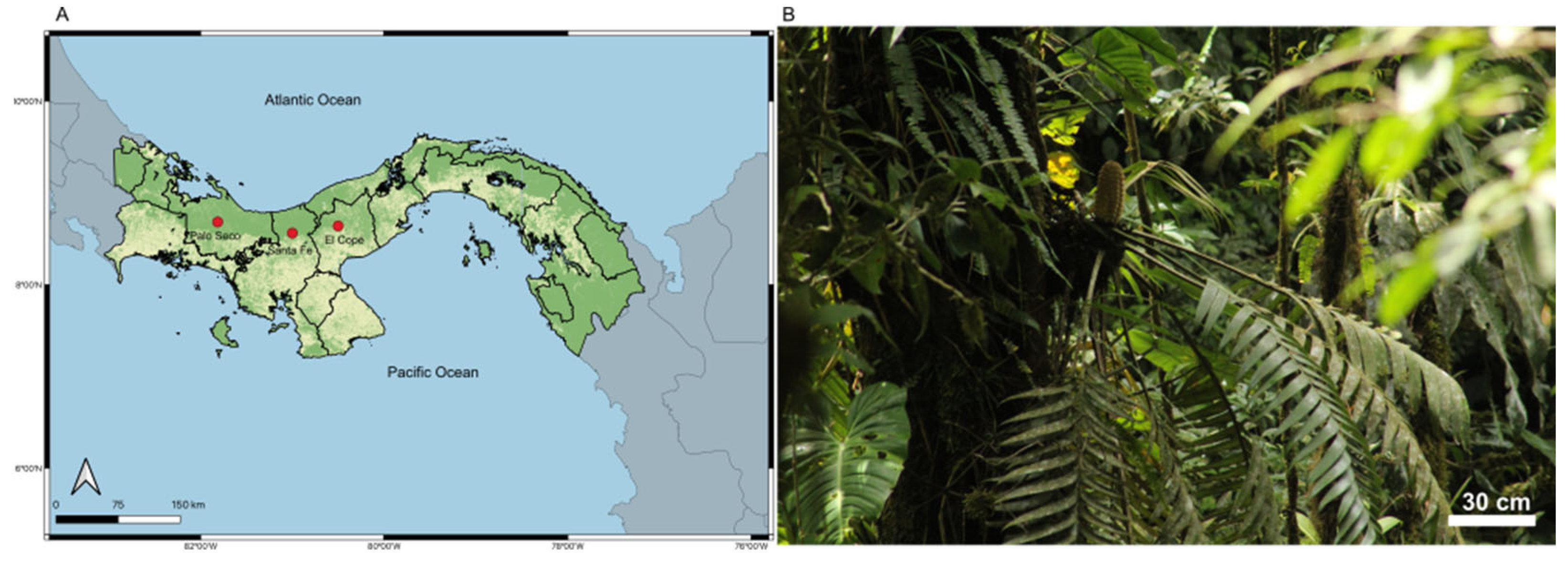 Applbiosci 04 00035 g001