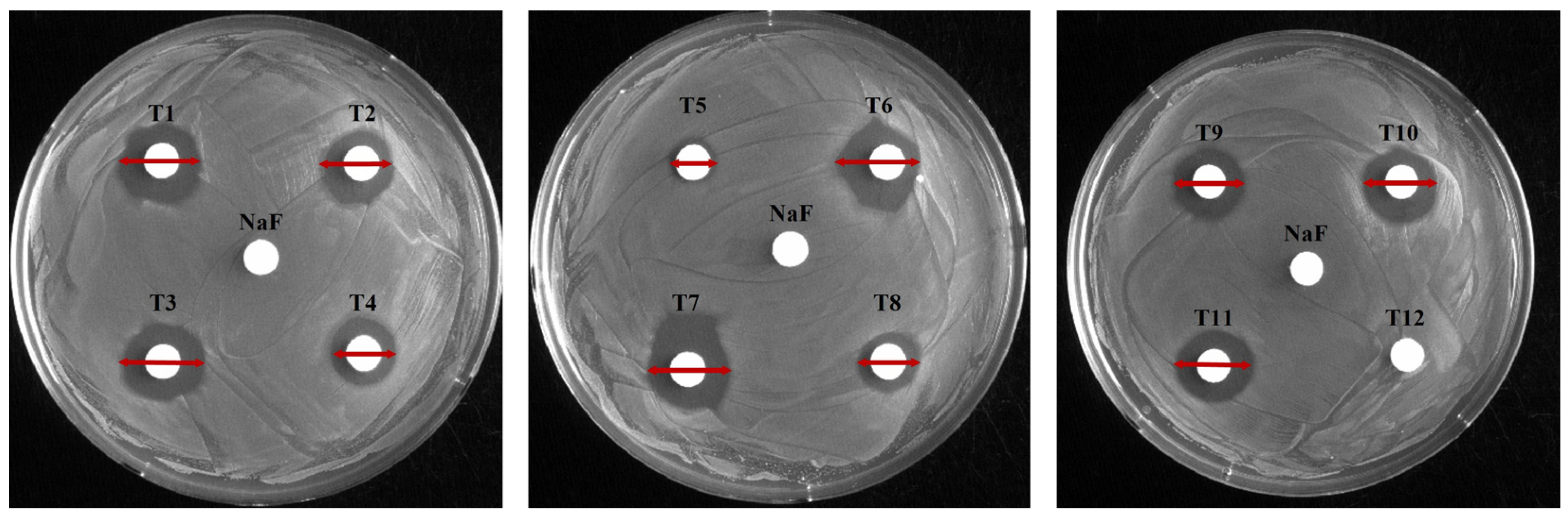 Applbiosci 04 00038 g001 Applbiosci 04 00038 g001