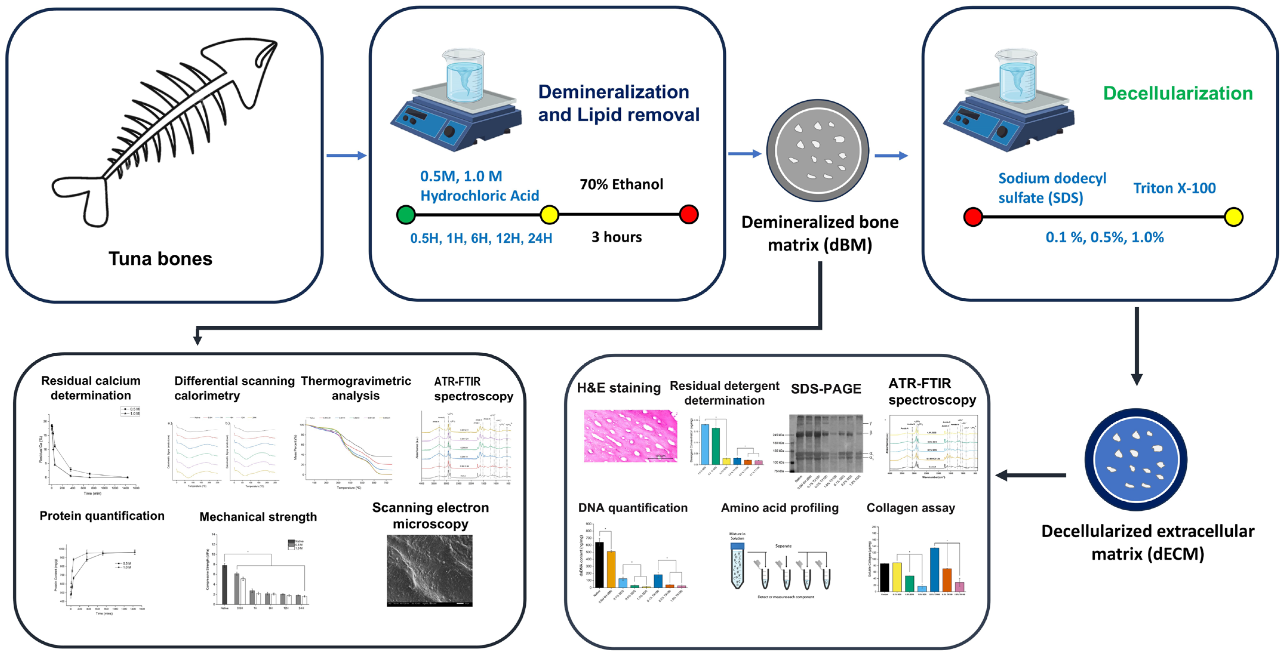 Applbiosci 04 00043 g001