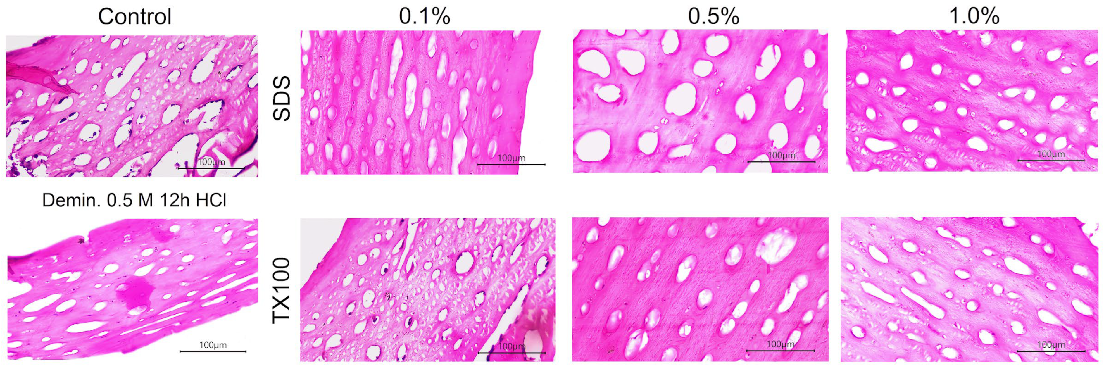 Applbiosci 04 00043 g011