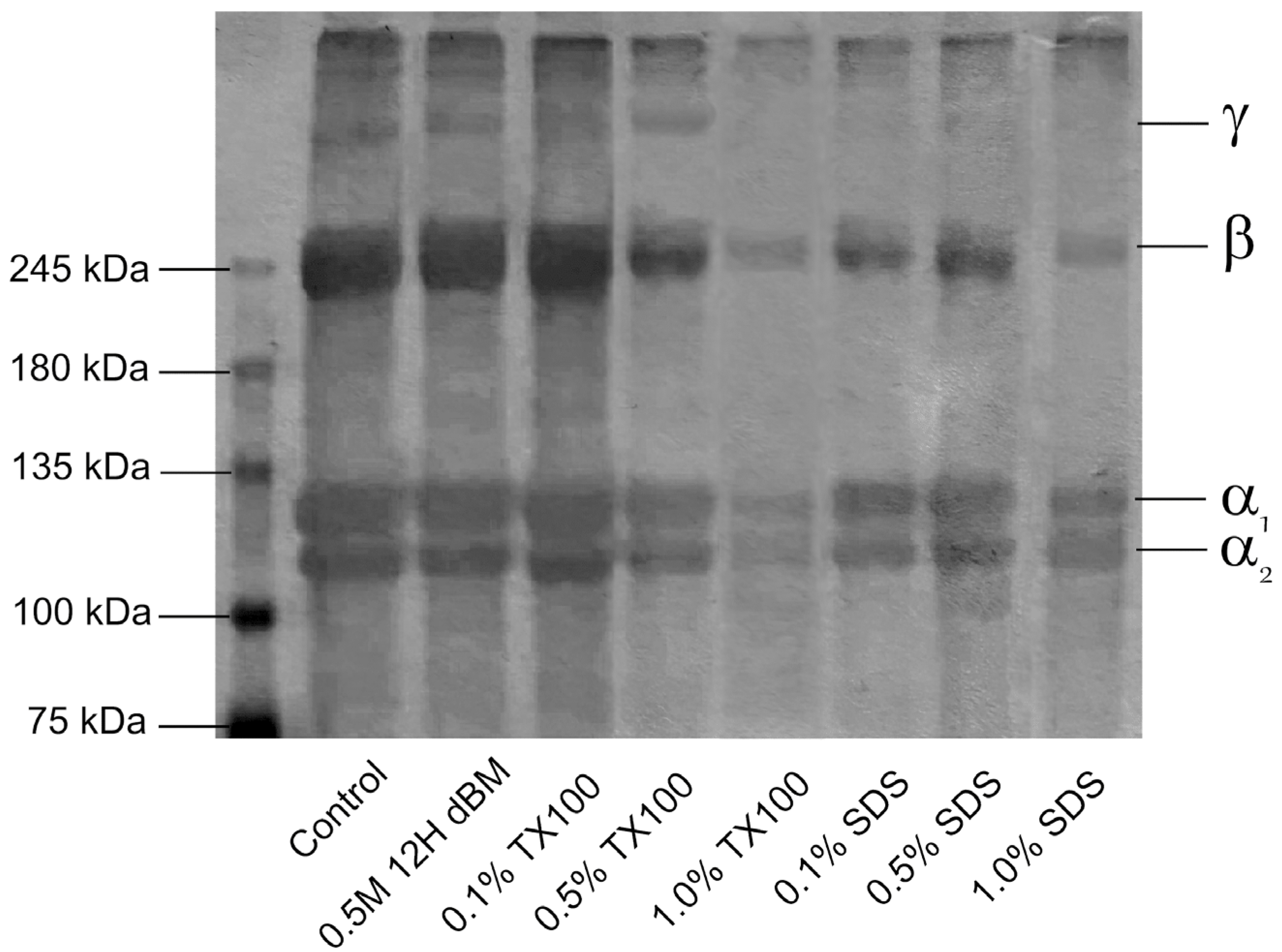 Applbiosci 04 00043 g014