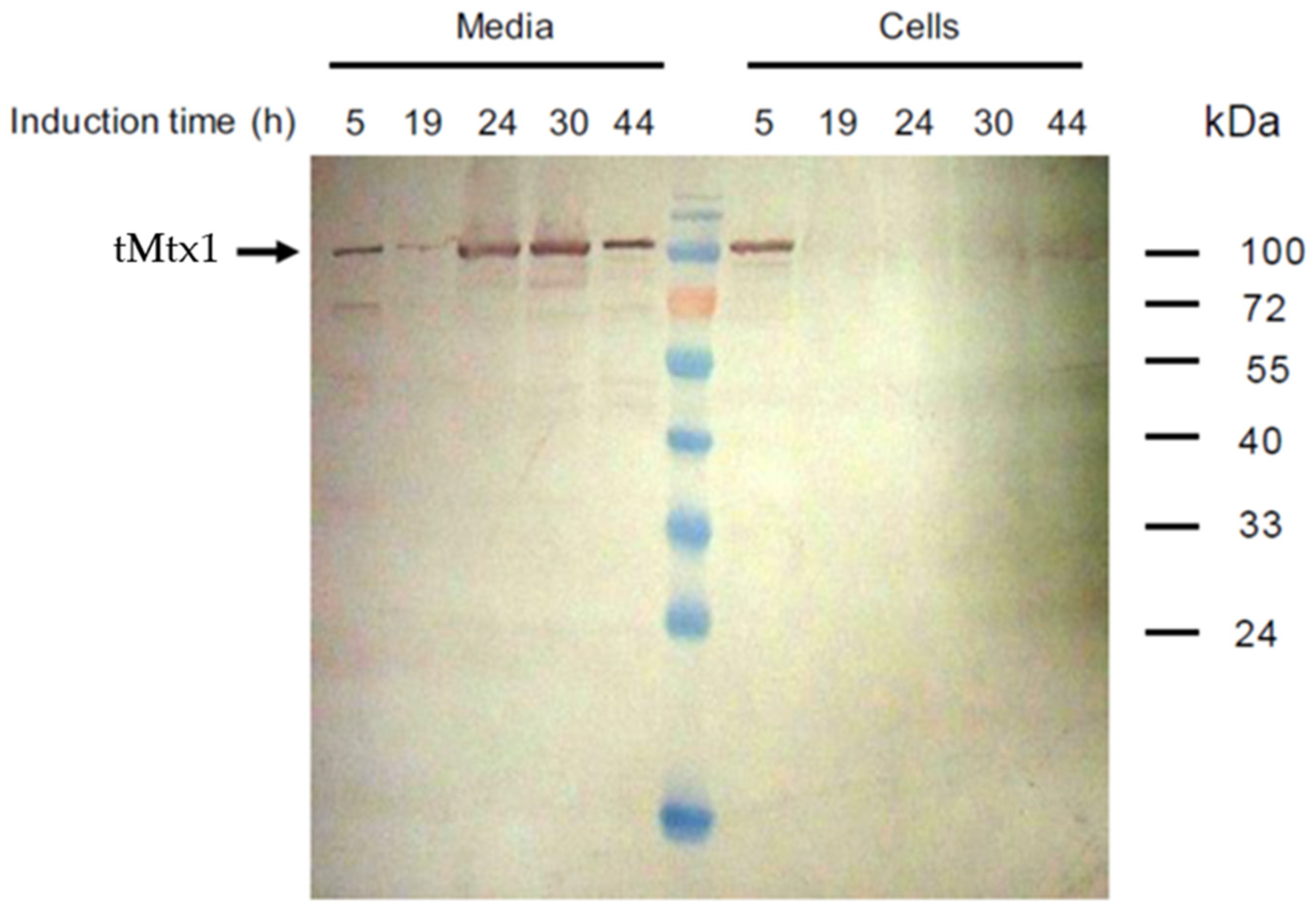 Applbiosci 05 00004 g003 Applbiosci 05 00004 g003