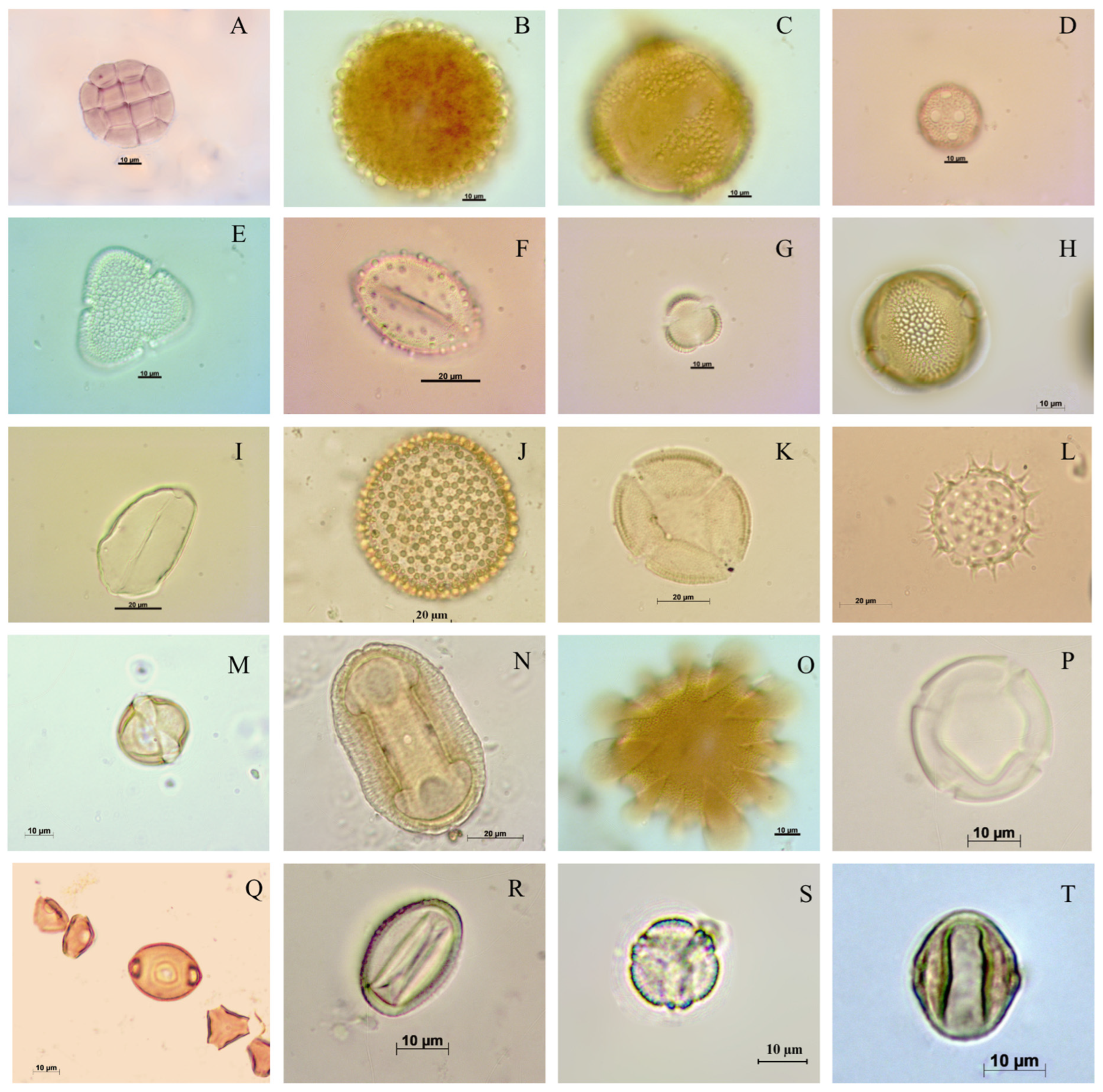 Applbiosci 05 00042 g002 Applbiosci 05 00042 g002