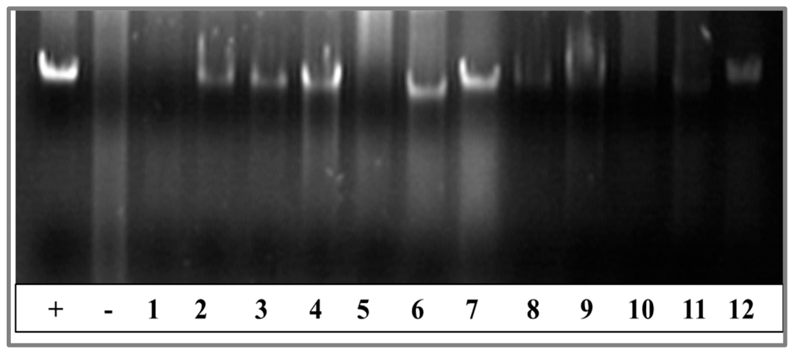Applbiosci 05 00088 g004 Applbiosci 05 00088 g004