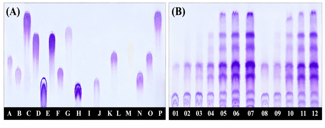 Applbiosci 05 00088 g005 Applbiosci 05 00088 g005