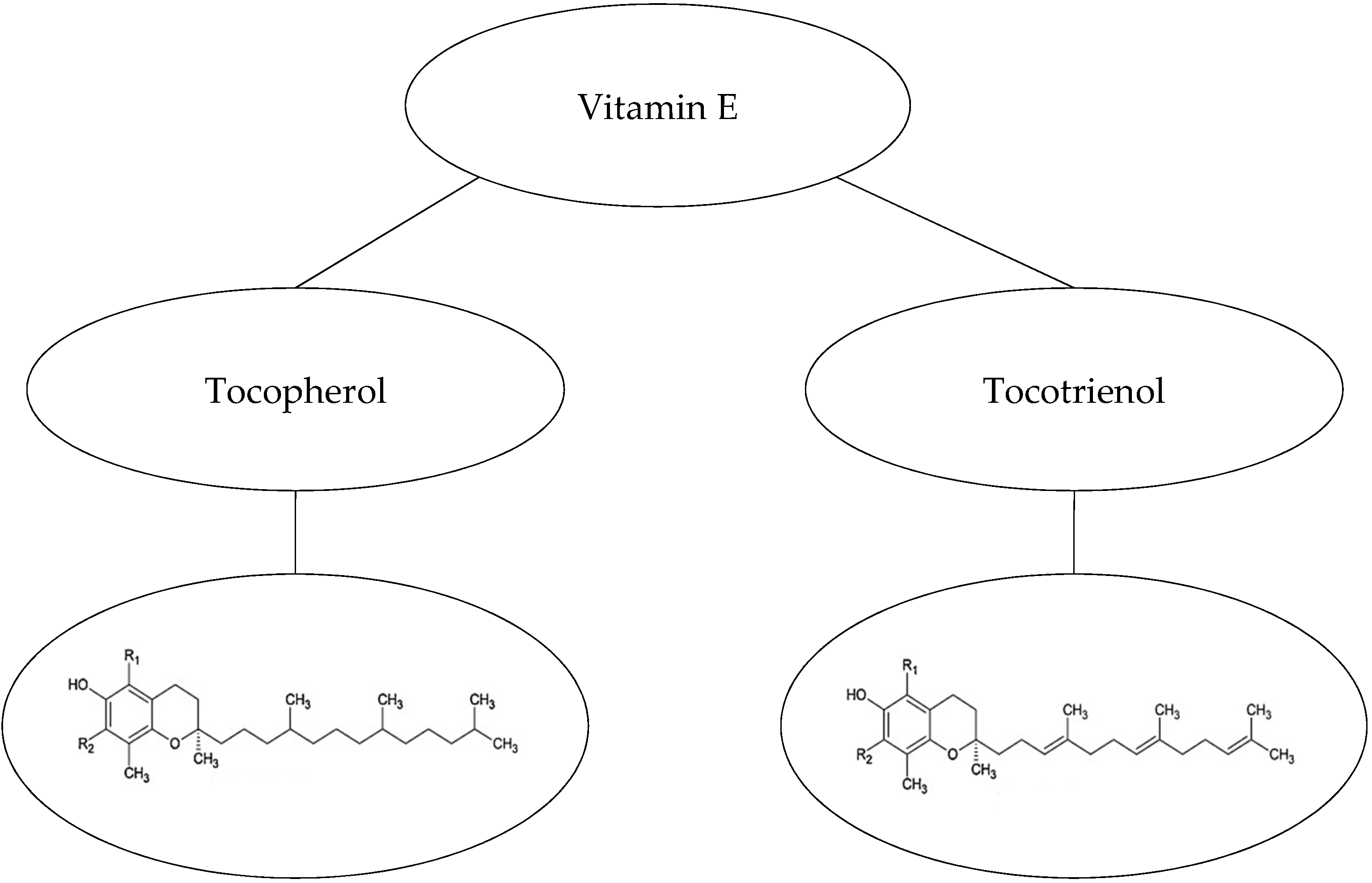 Appliedchem 02 00005 g001