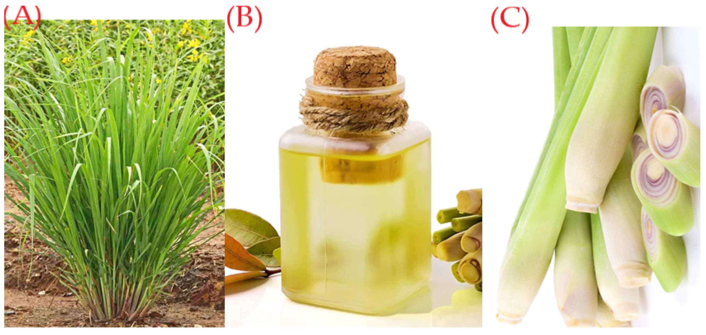 Appliedchem 02 00016 g001