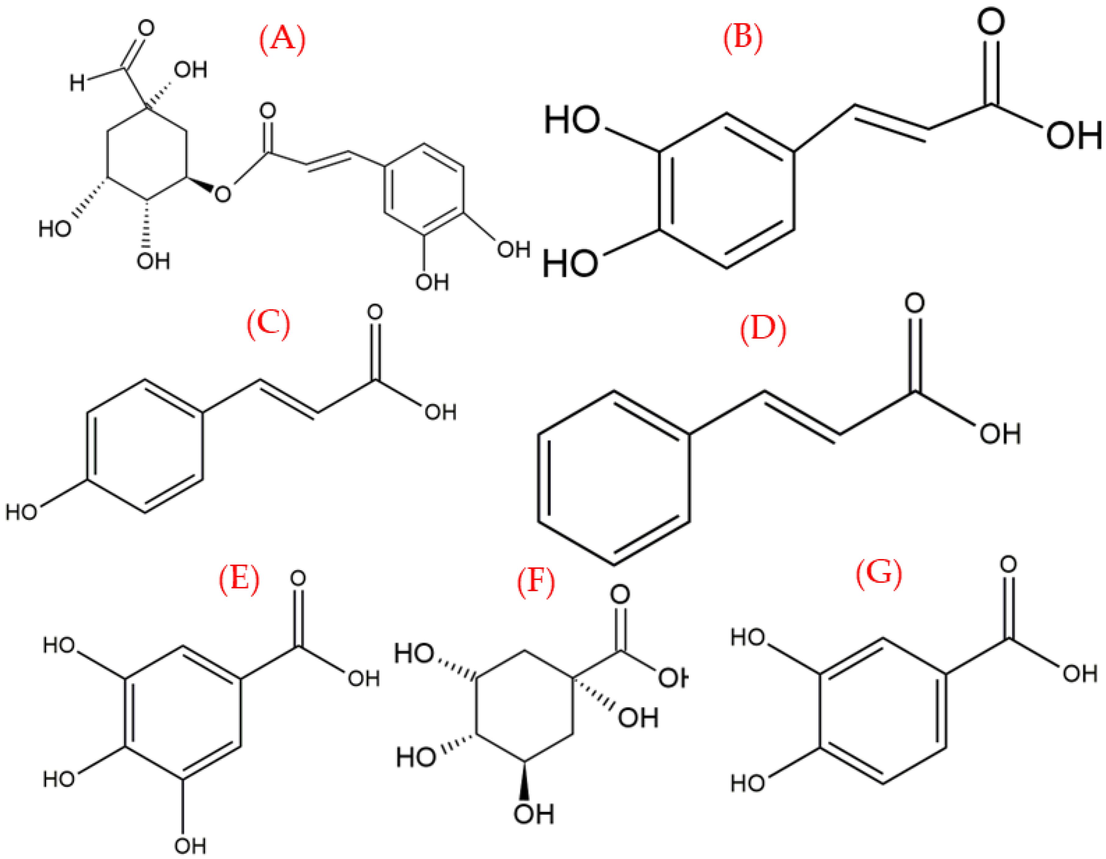 Appliedchem 02 00016 g003