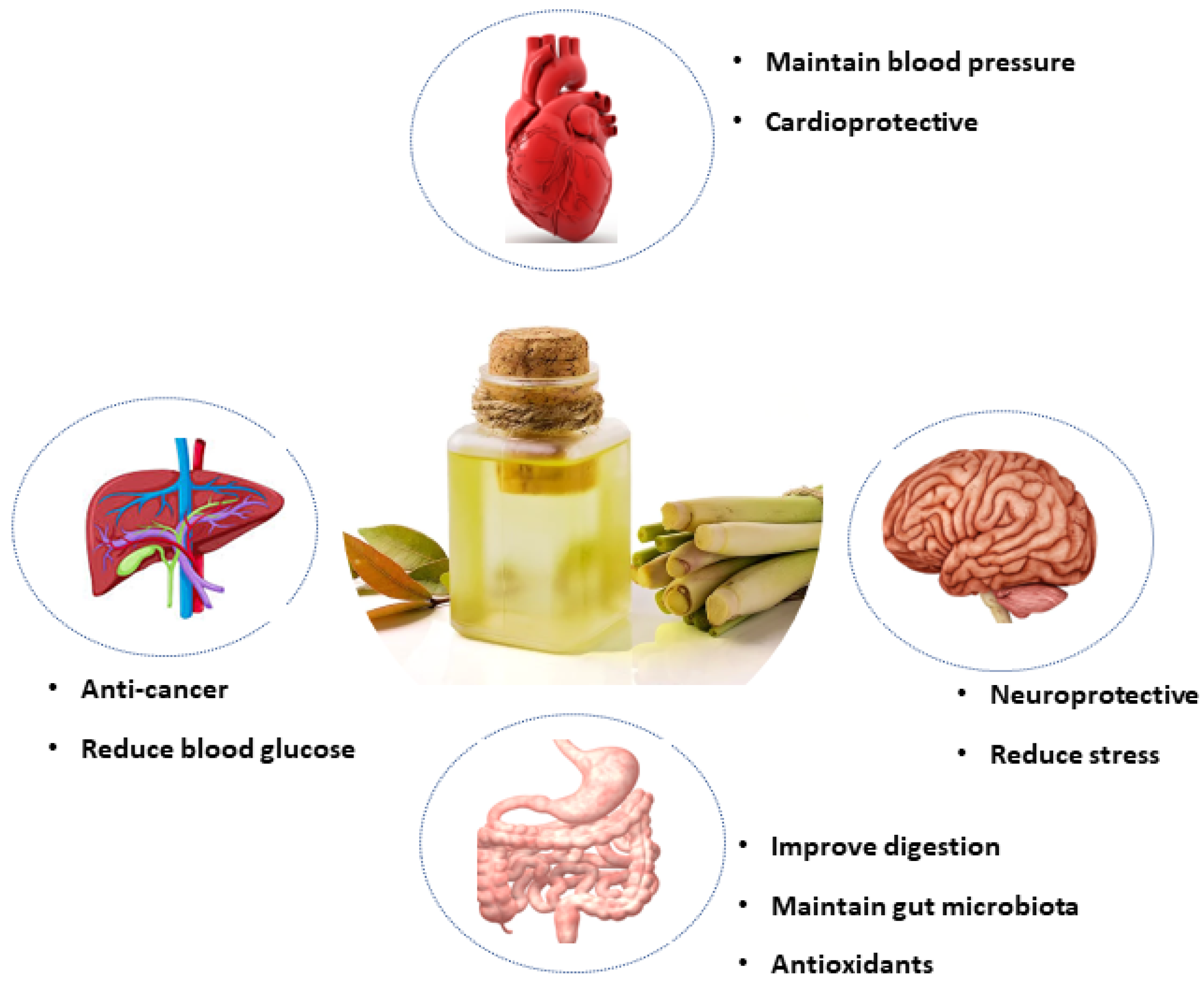 Appliedchem 02 00016 g004