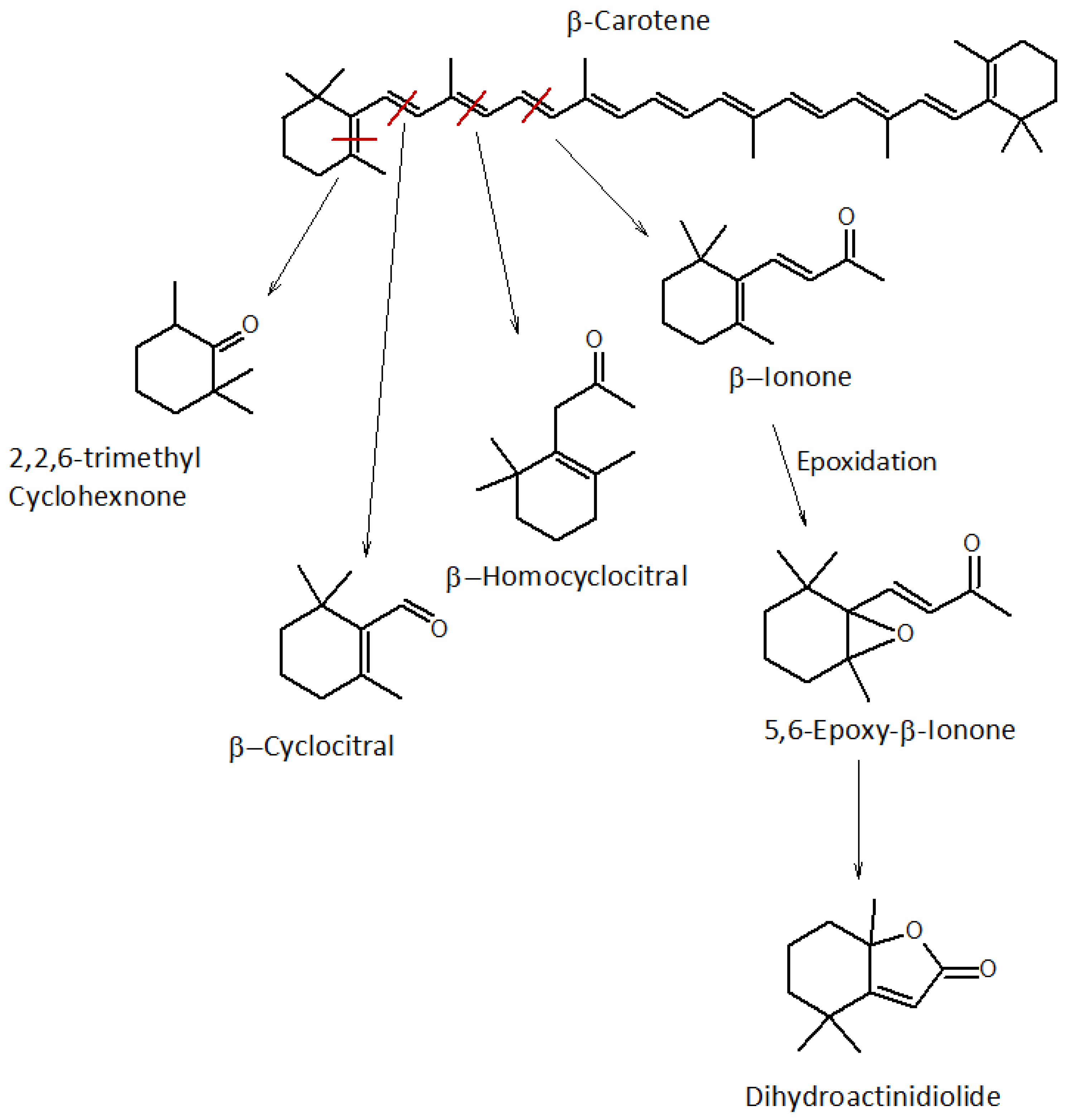 Appliedchem 03 00006 g004