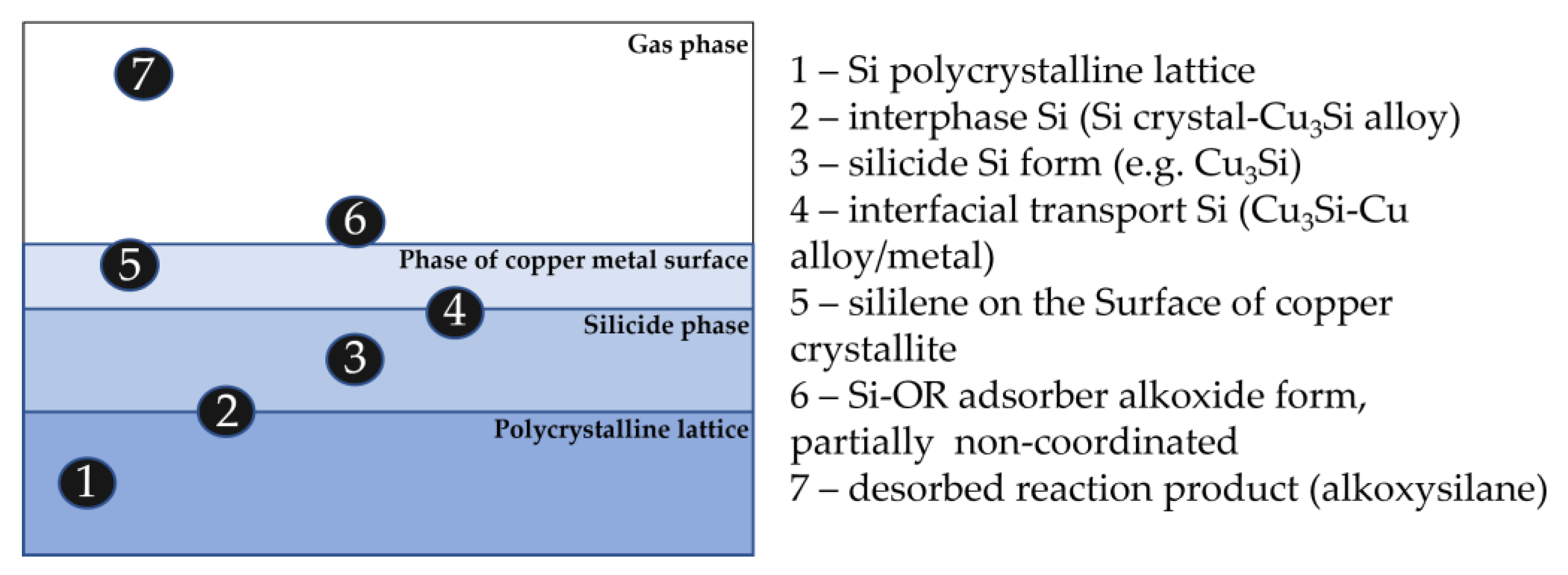 Appliedchem 03 00007 g012 Appliedchem 03 00007 g012
