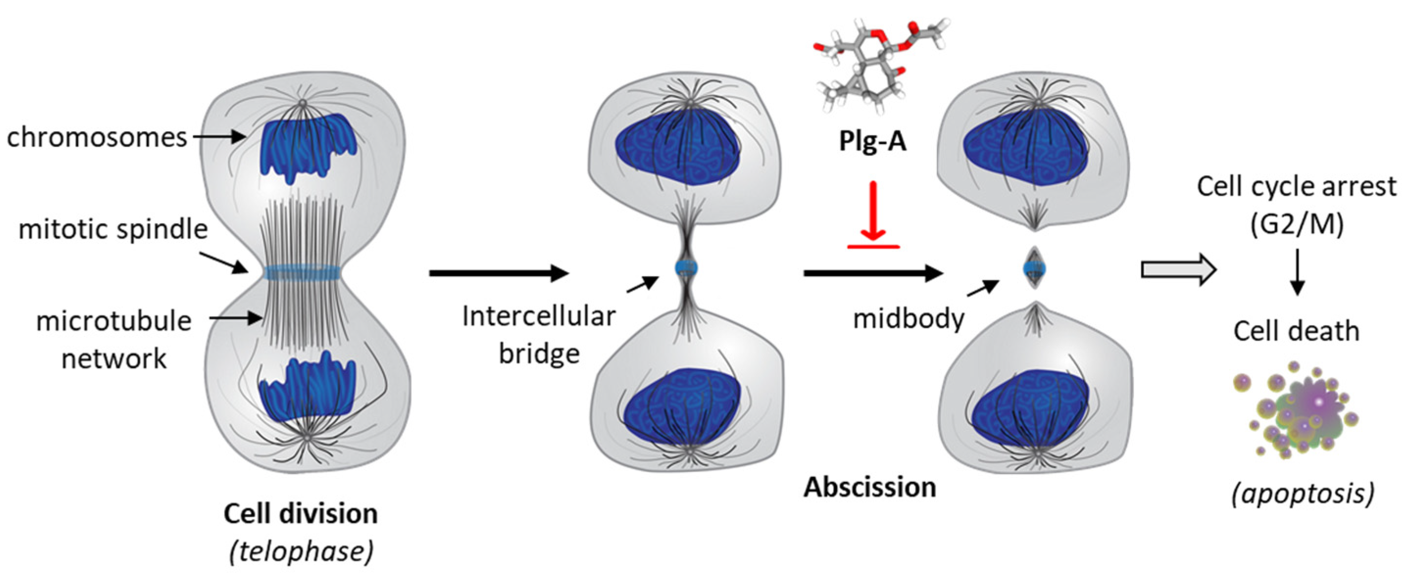 Appliedchem 03 00014 g002