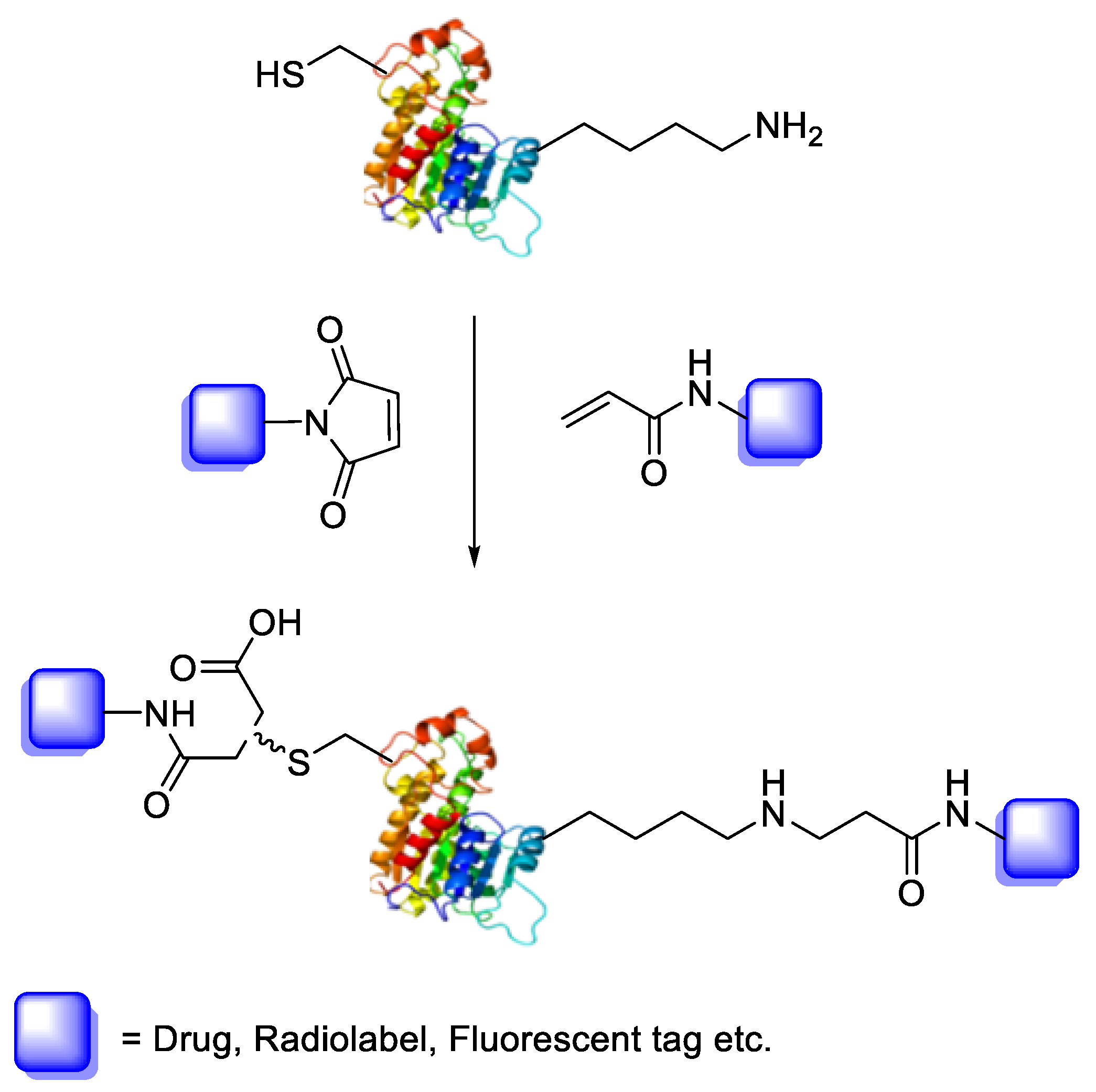 Appliedchem 03 00016 sch001