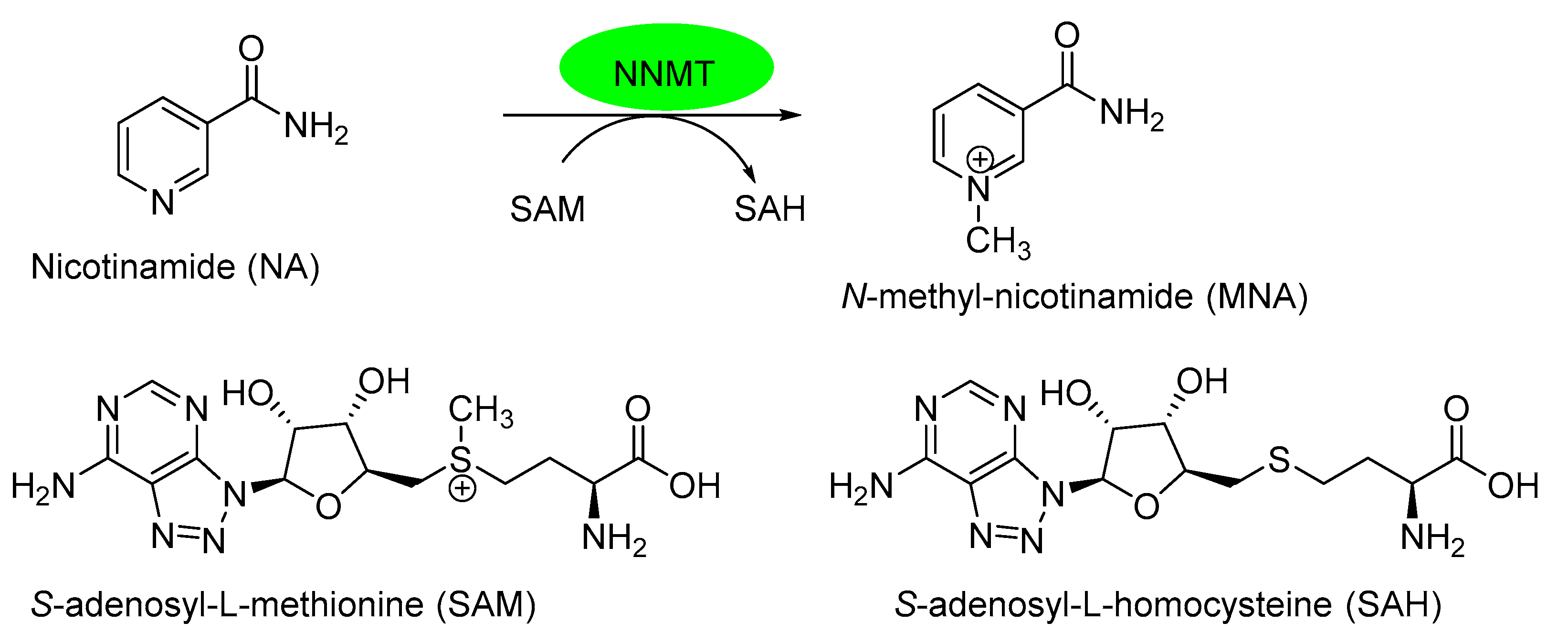 Appliedchem 03 00032 sch001