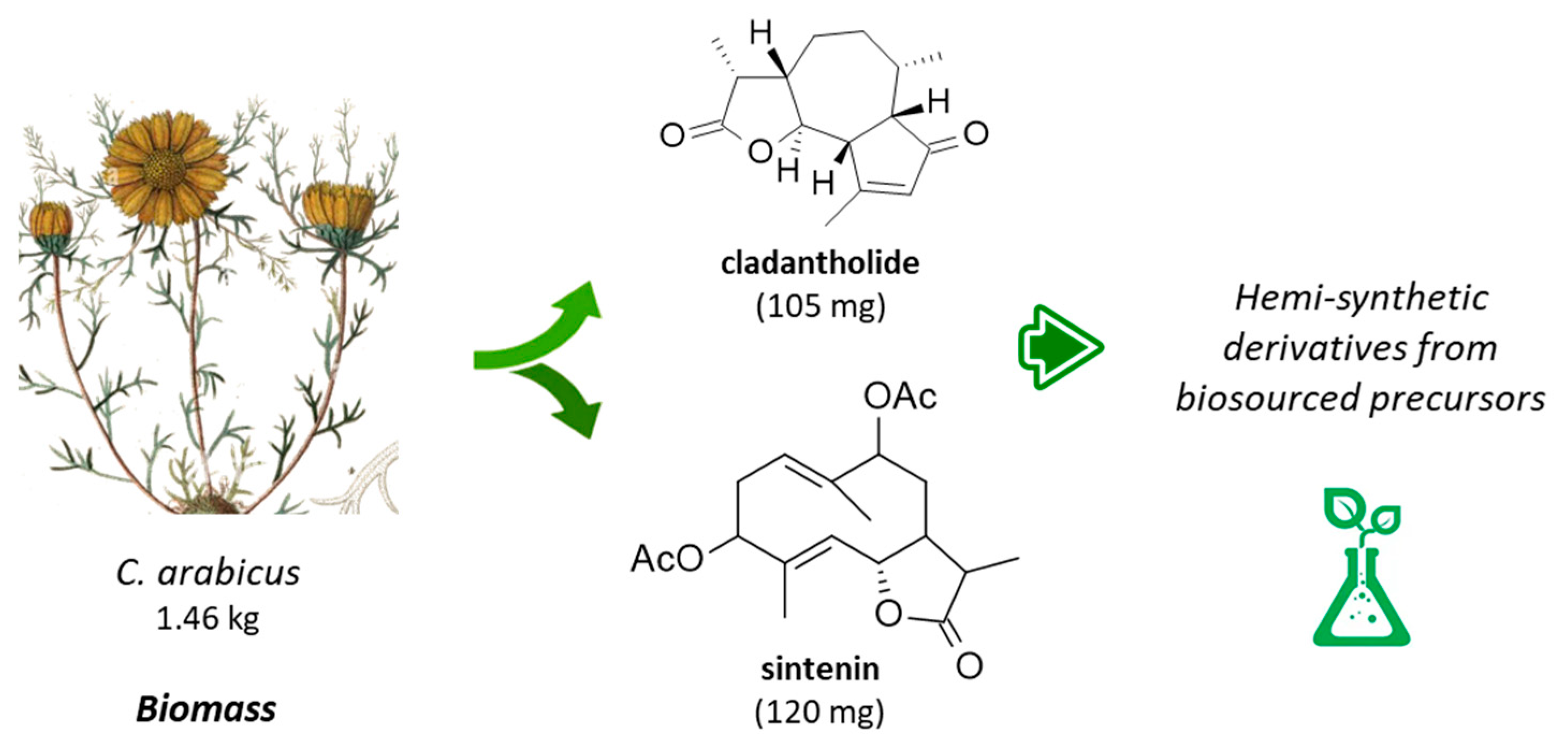 Appliedchem 04 00002 g004