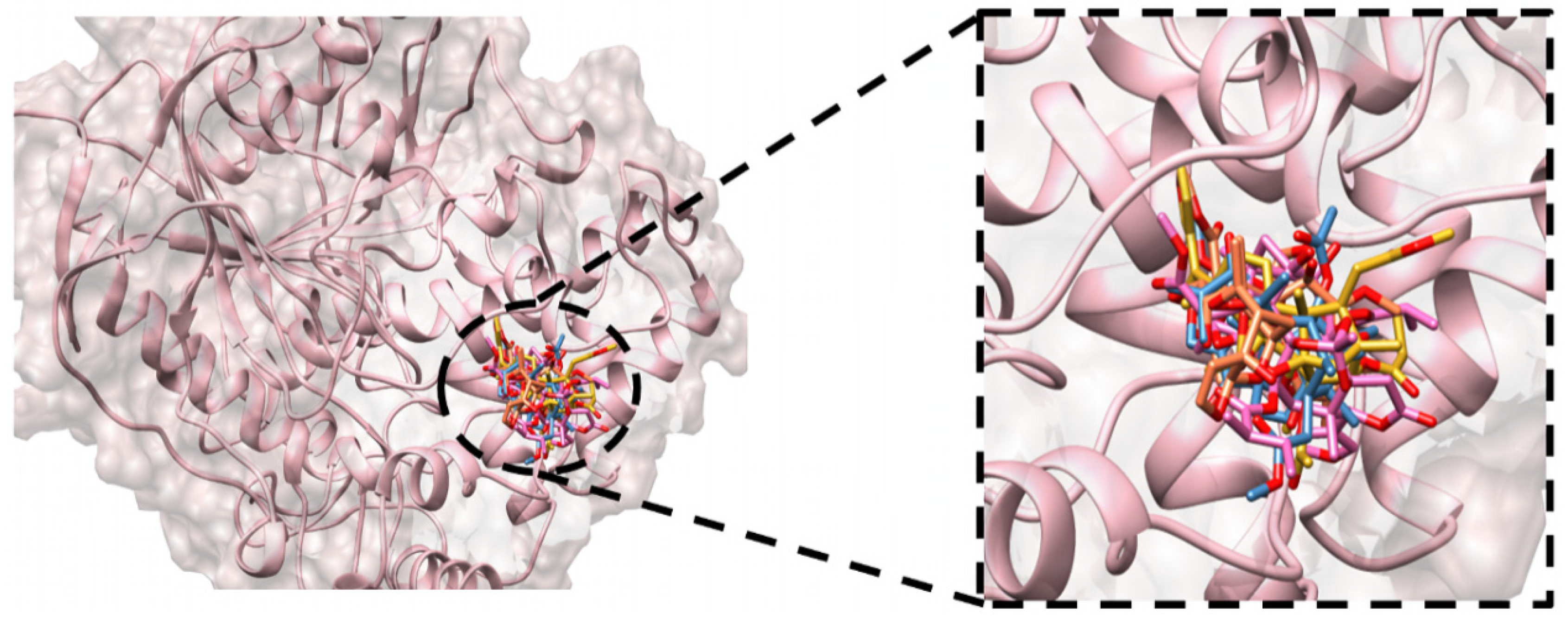 Appliedchem 04 00020 g003