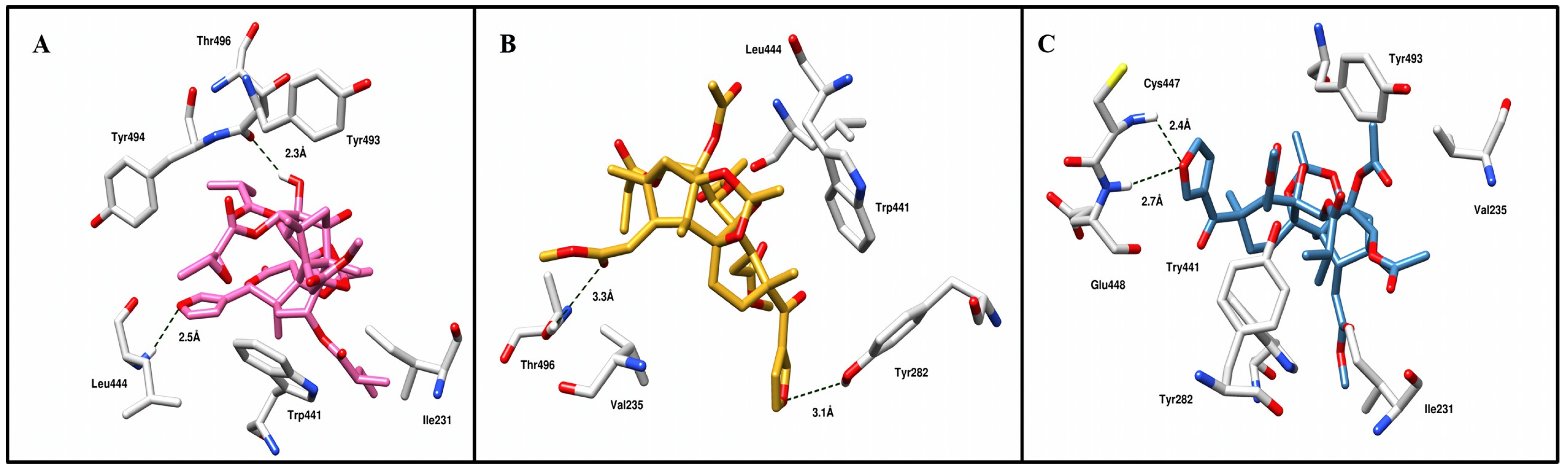 Appliedchem 04 00020 g004