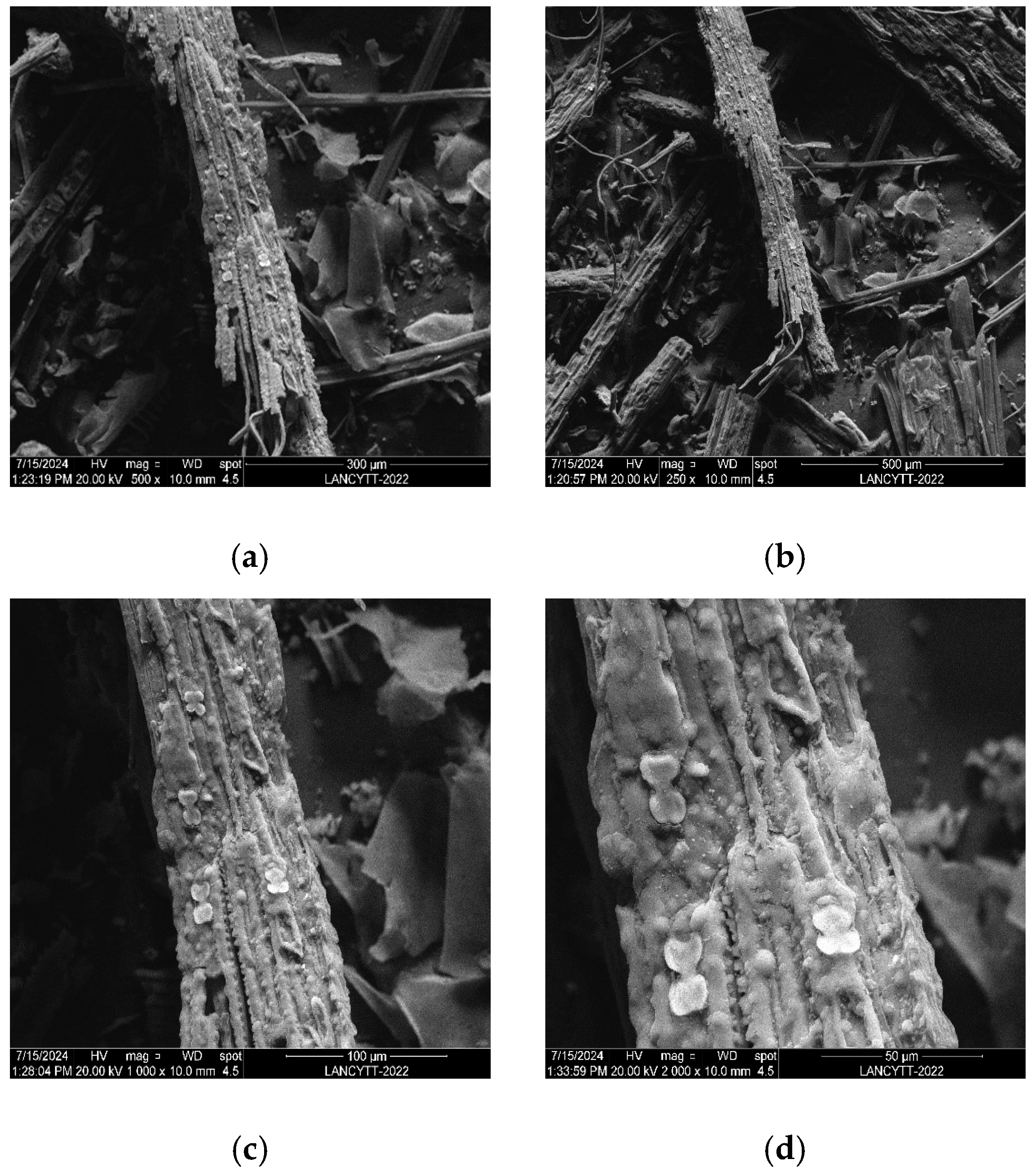 Appliedchem 05 00024 g010