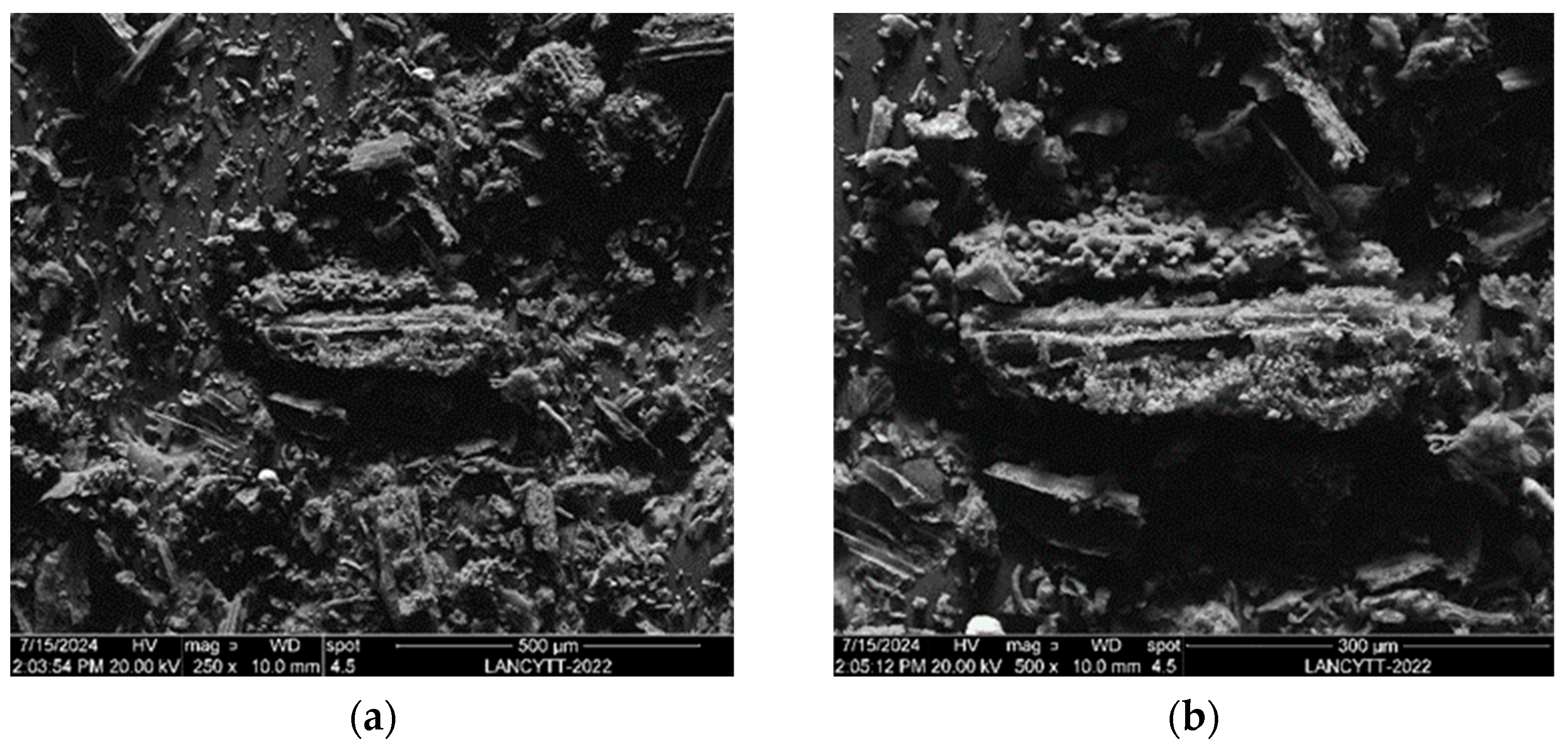 Appliedchem 05 00024 g014a