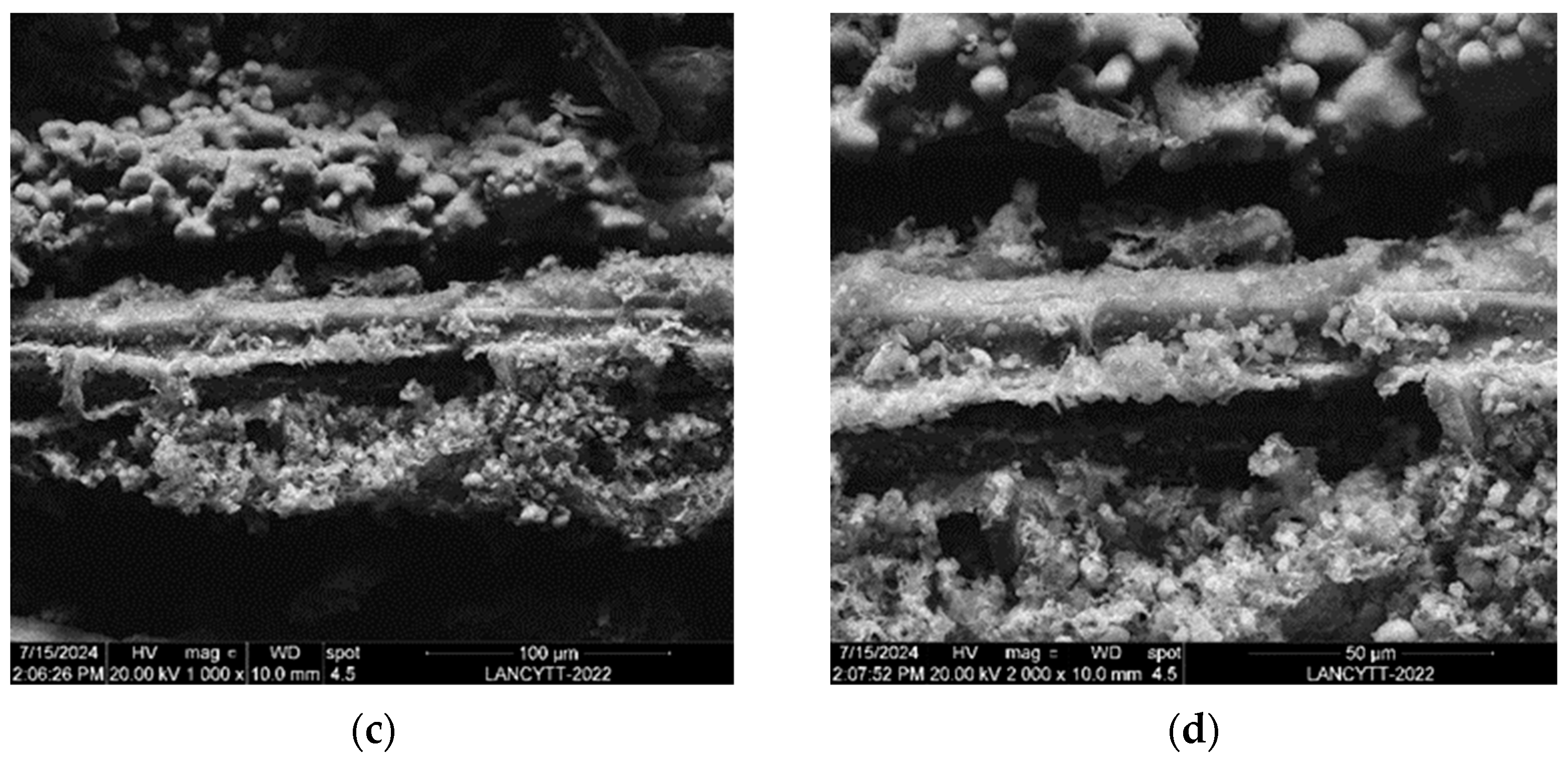 Appliedchem 05 00024 g014b