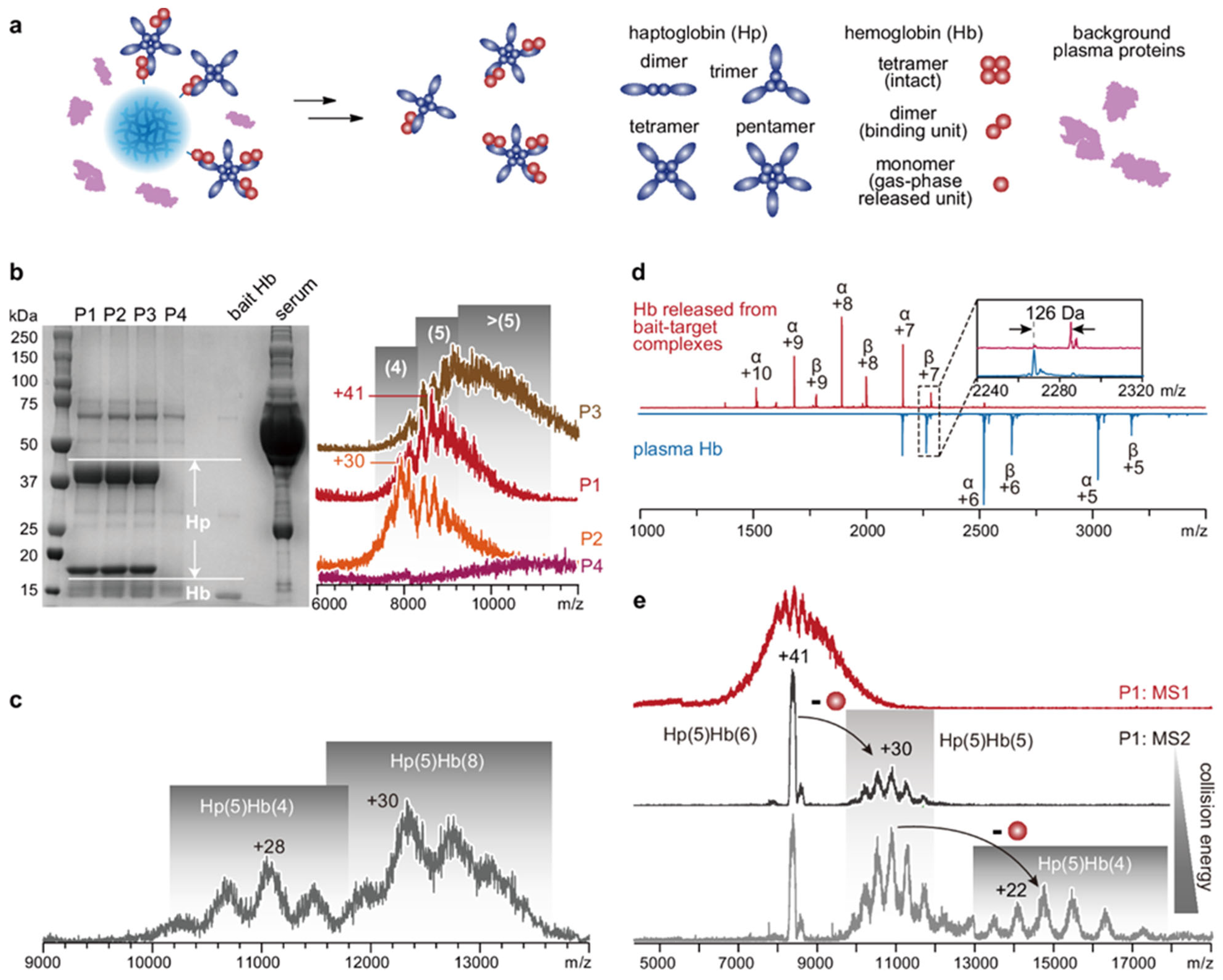 Appliedchem 05 00035 g003