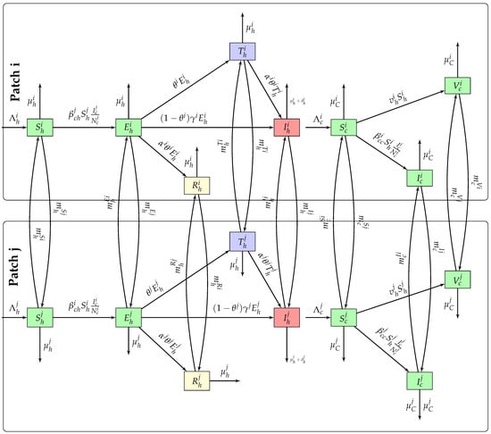 Flow diagram of the model, showing transitions between compartments for canine and human populations in both countries. Arrows indicate transmission pathways, infection progression, vaccination, and demographic movements.