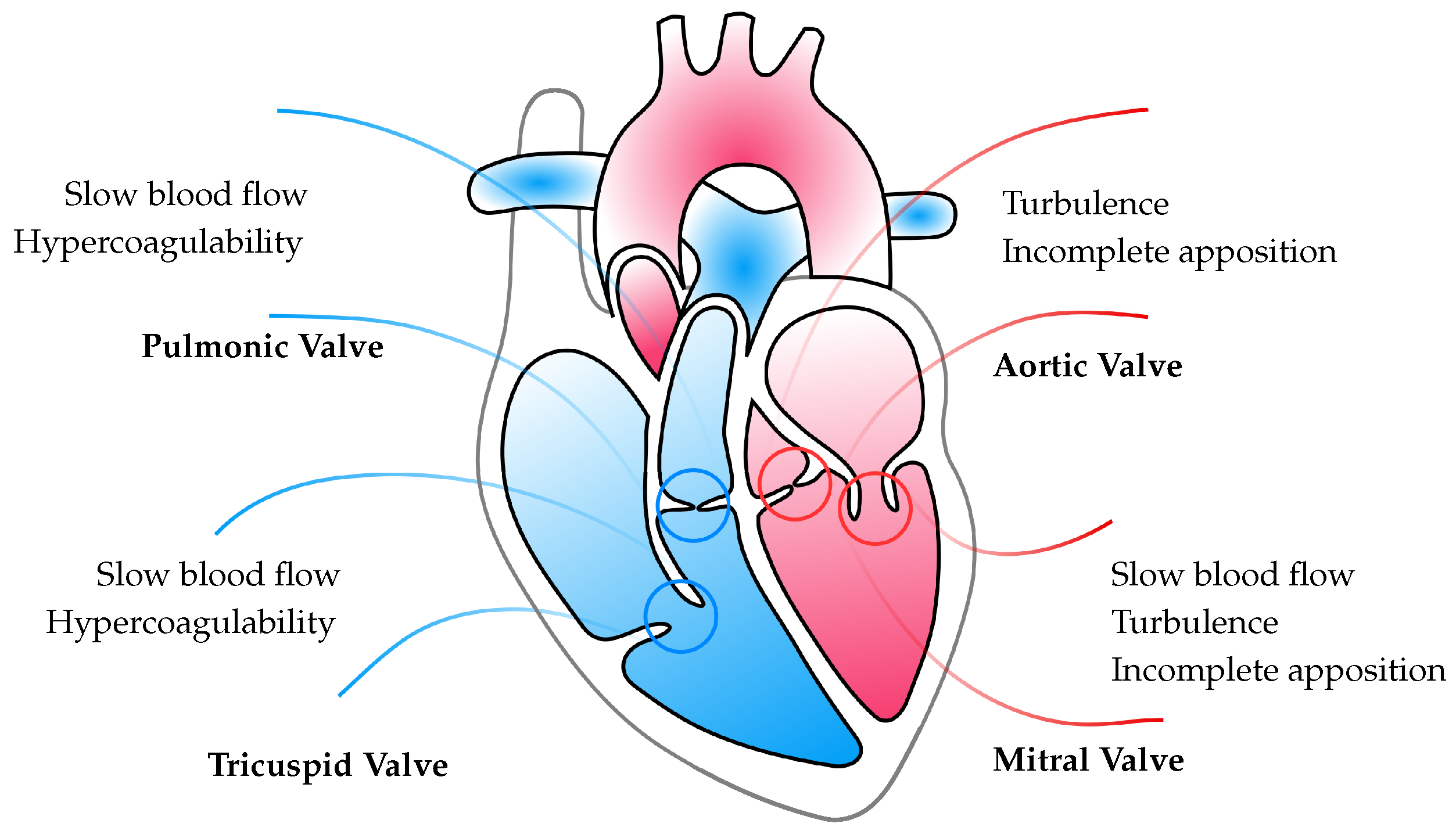 Applmech 04 00033 g002