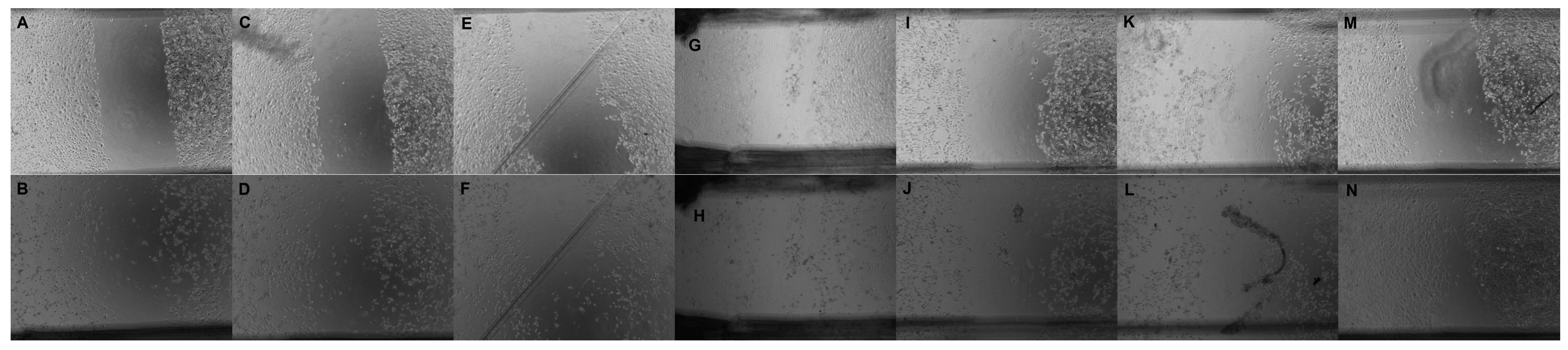 Applmech 05 00031 g002 Applmech 05 00031 g002