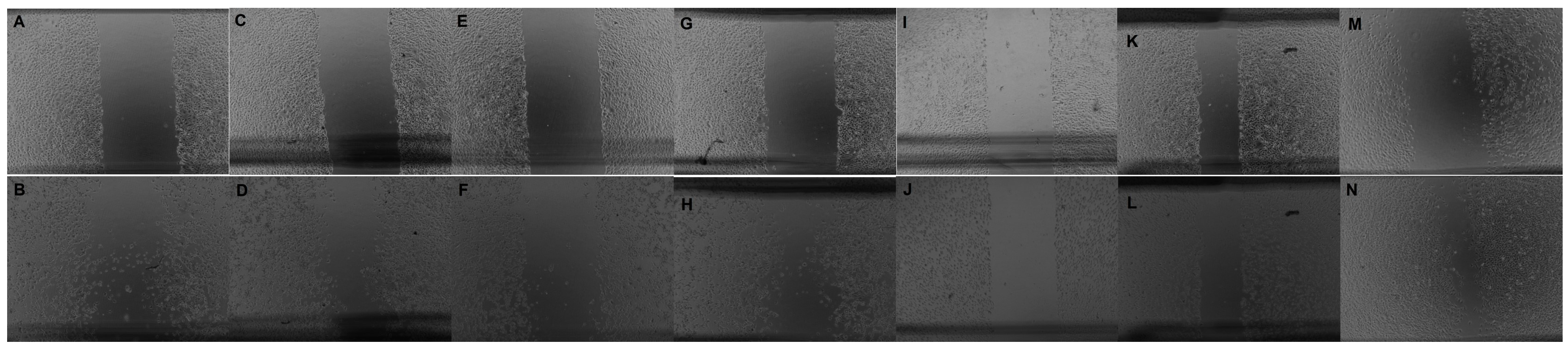 Applmech 05 00031 g003 Applmech 05 00031 g003
