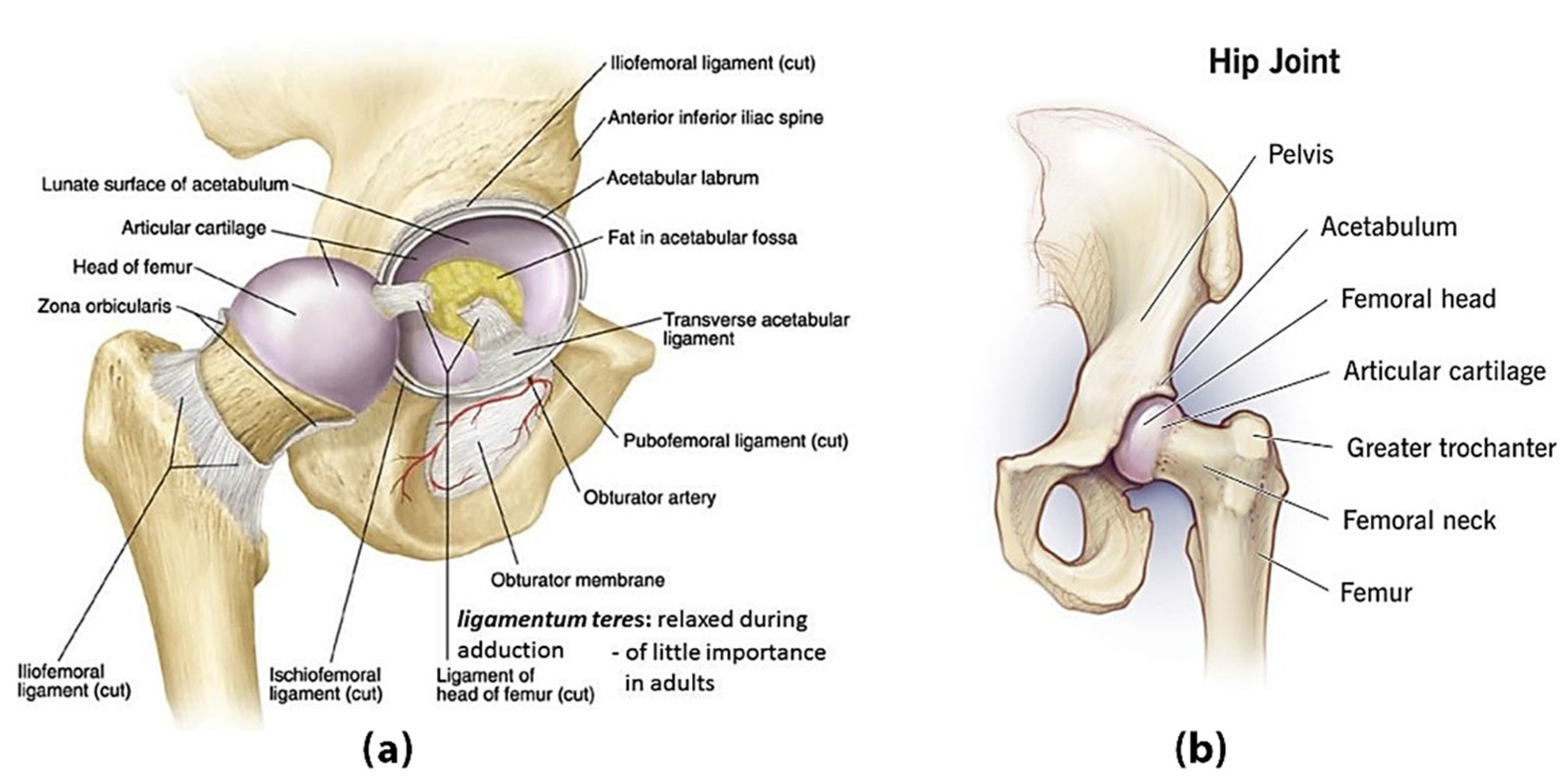 Applmech 06 00046 g001