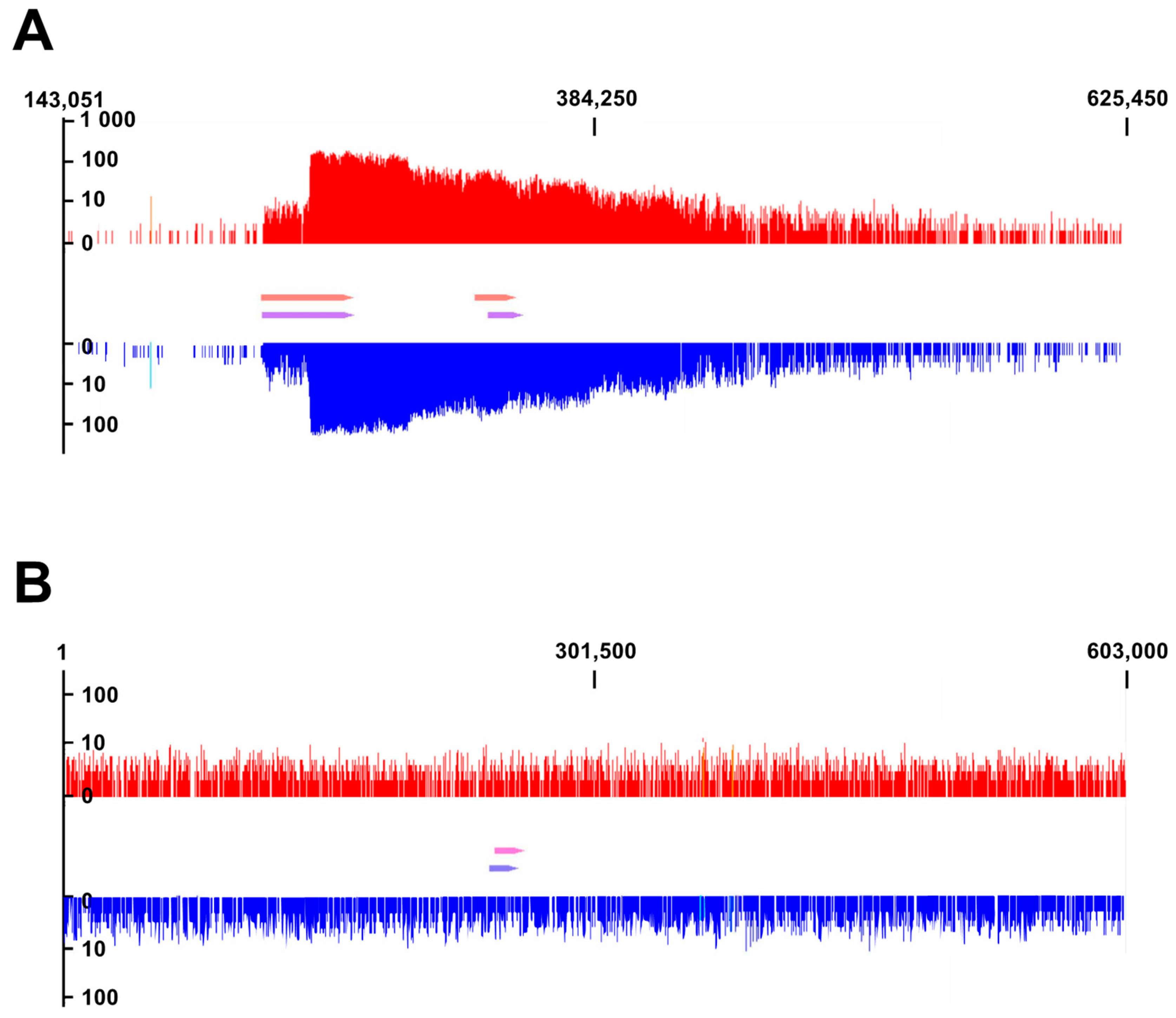 Applmicrobiol 01 00005 g003