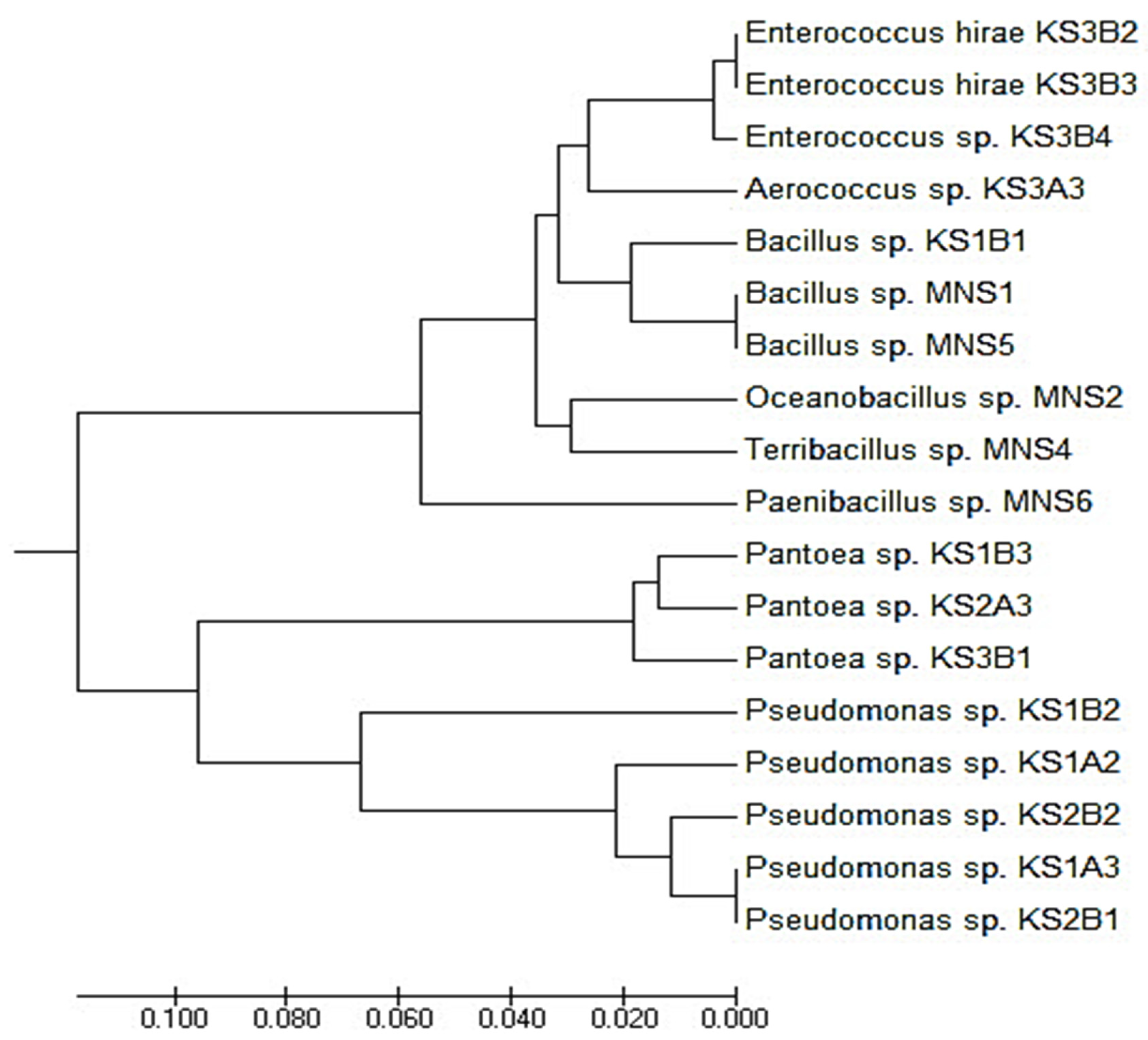 Applmicrobiol 01 00008 g005