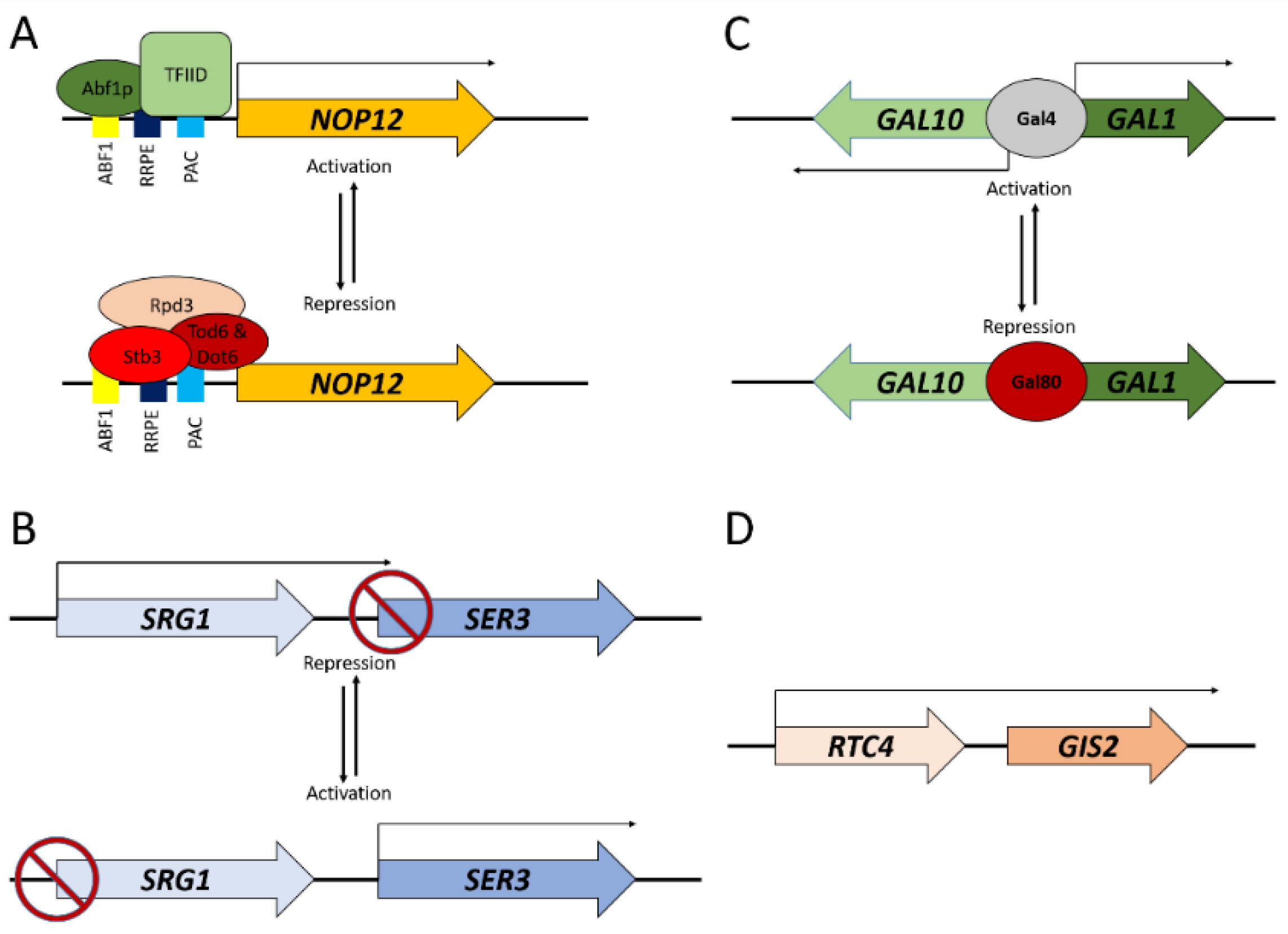 Applmicrobiol 01 00011 g001