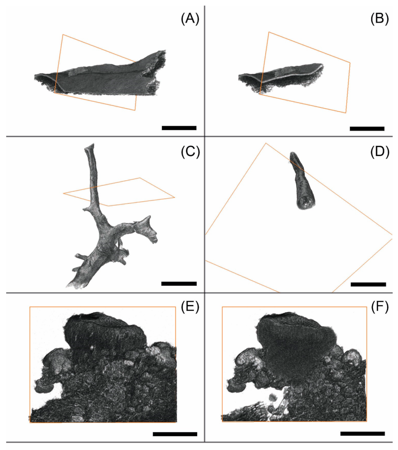Applmicrobiol 01 00015 g002 Applmicrobiol 01 00015 g002