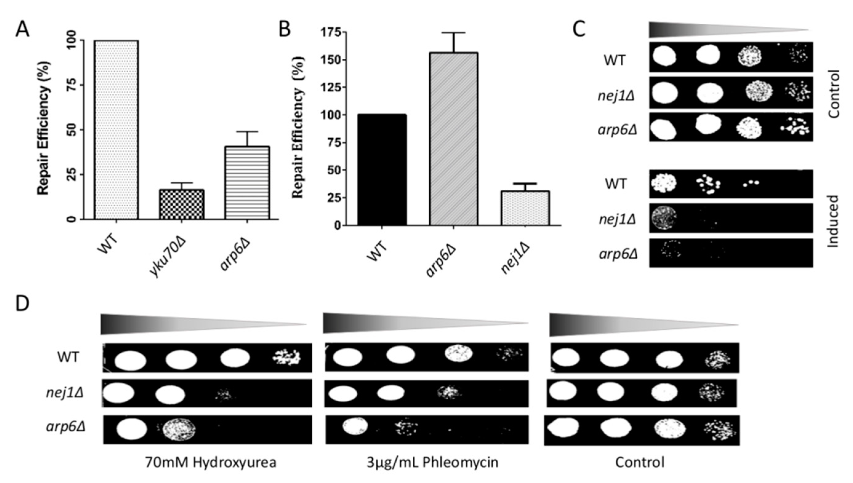 Applmicrobiol 01 00017 g001 Applmicrobiol 01 00017 g001