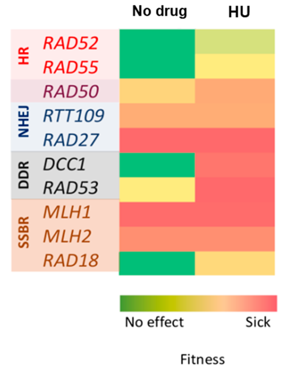 Applmicrobiol 01 00017 g003 Applmicrobiol 01 00017 g003
