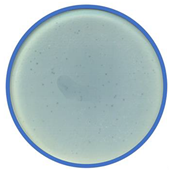 Applmicrobiol 01 00021 i015